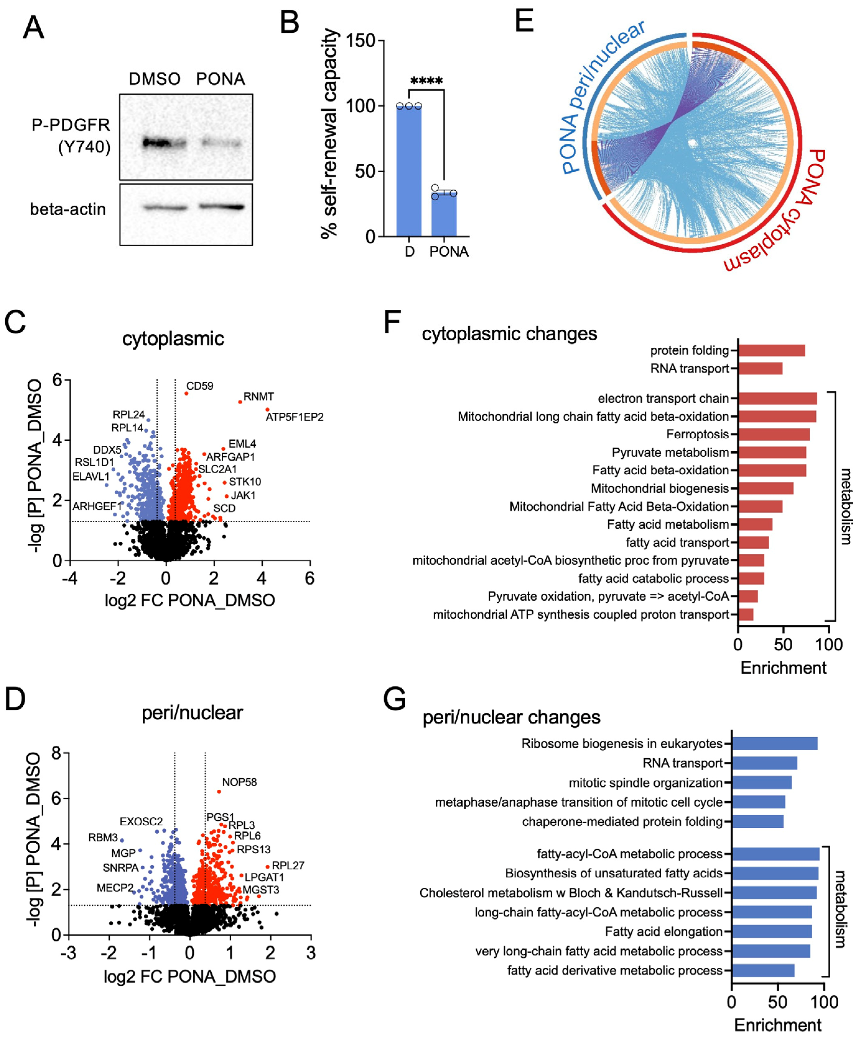 Pharmaceutics 16 00728 g001