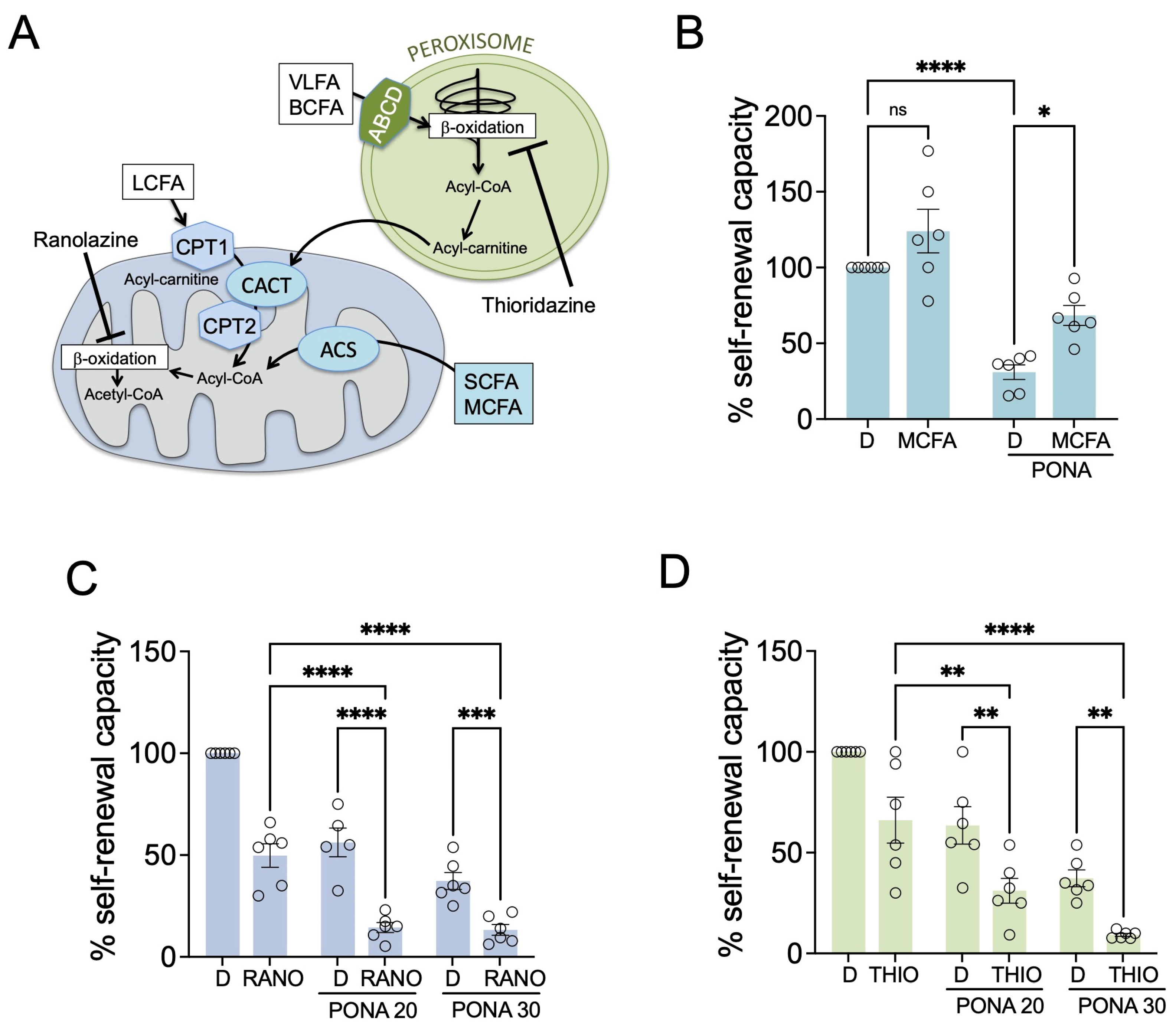 Pharmaceutics 16 00728 g003