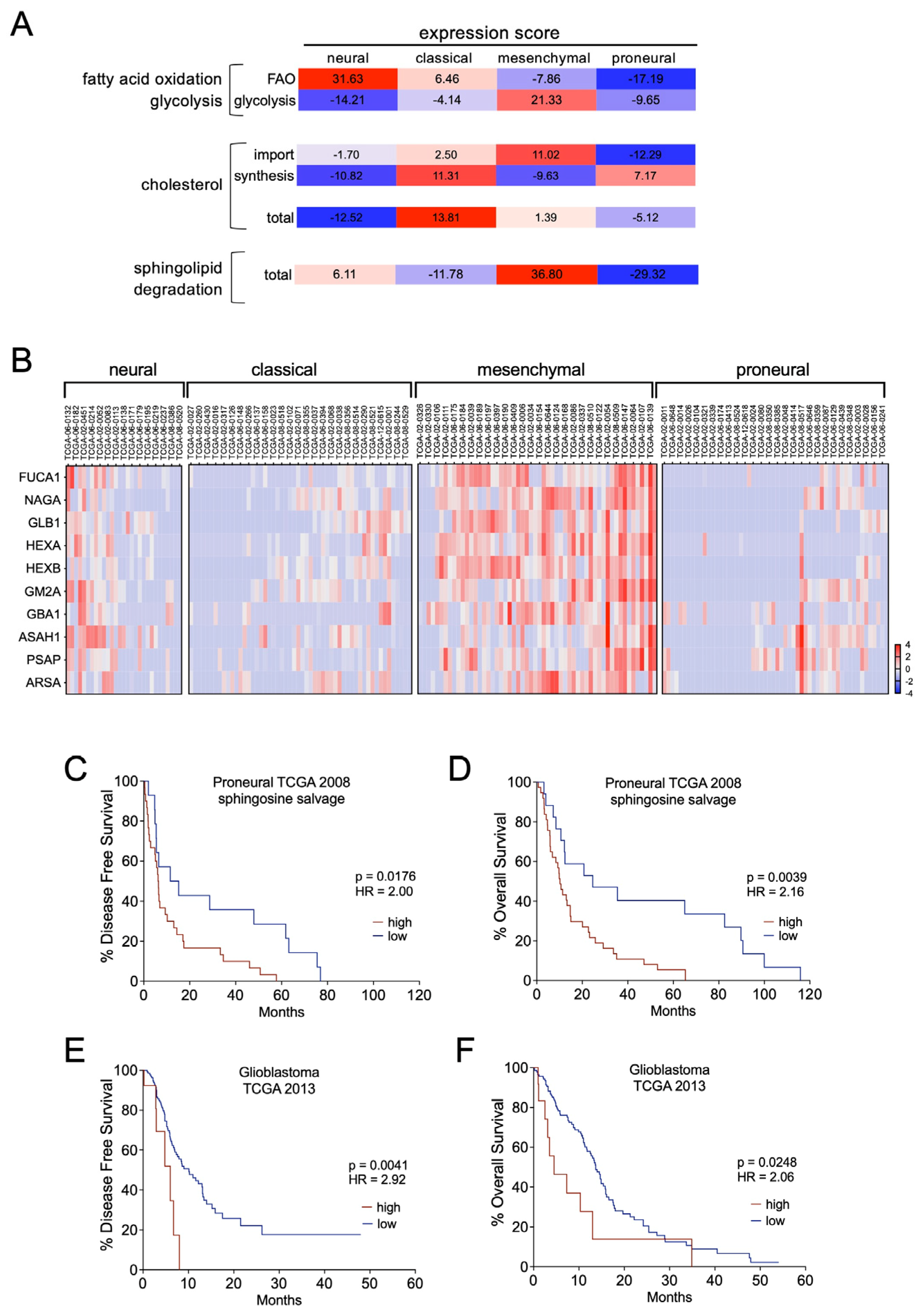 Pharmaceutics 16 00728 g007