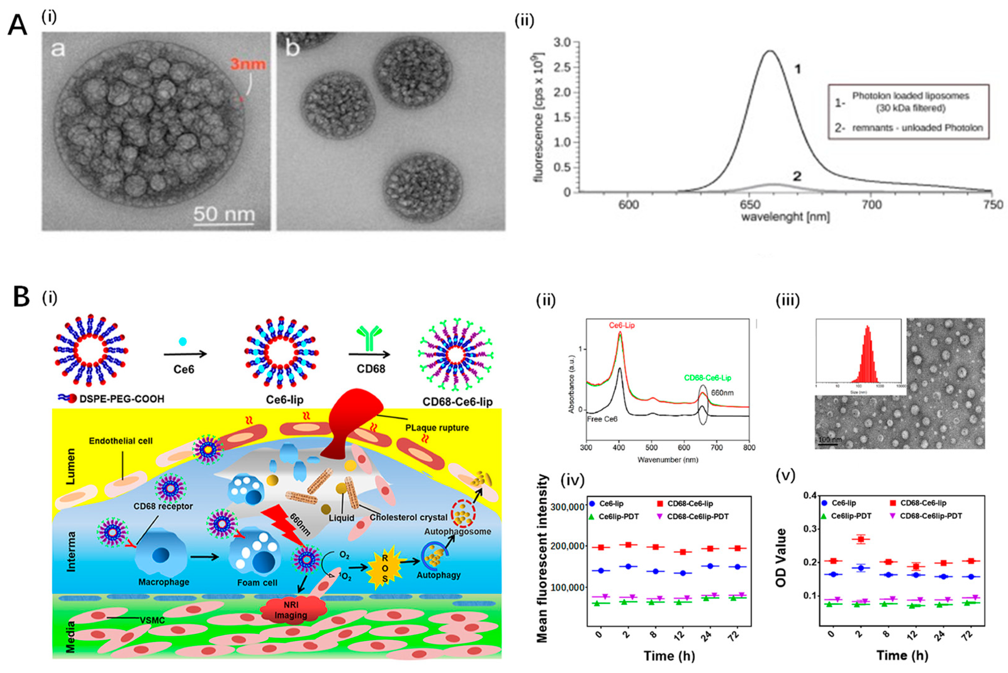 Pharmaceutics 16 00729 g005