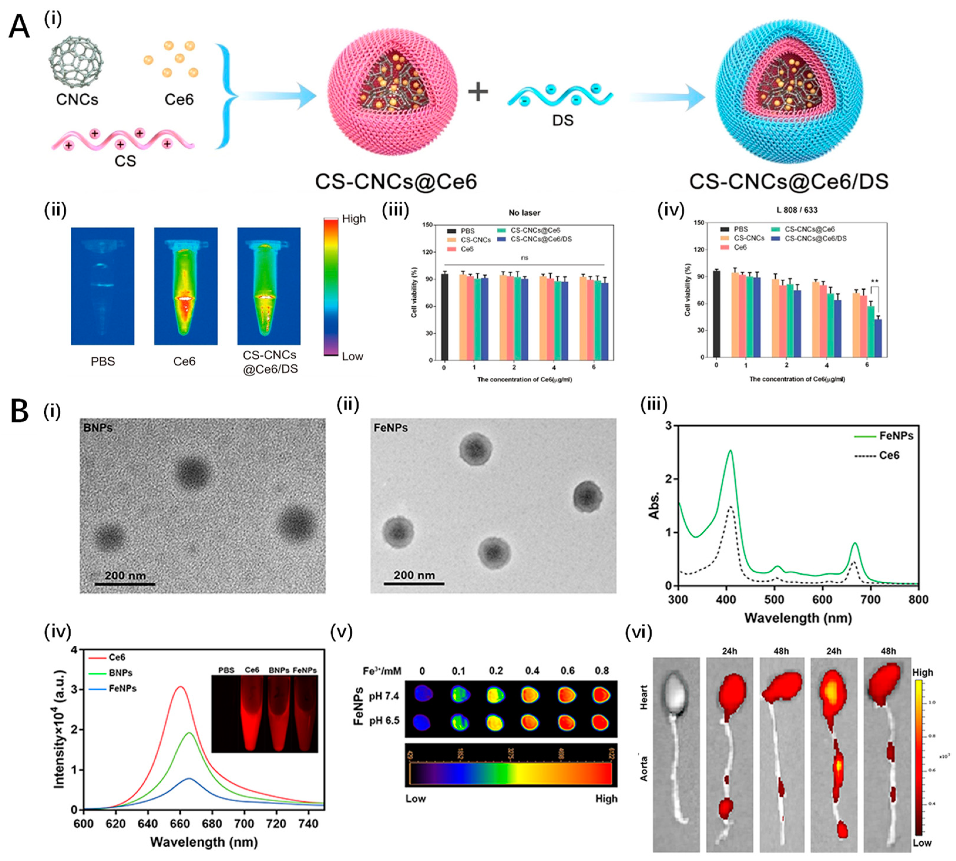 Pharmaceutics 16 00729 g007