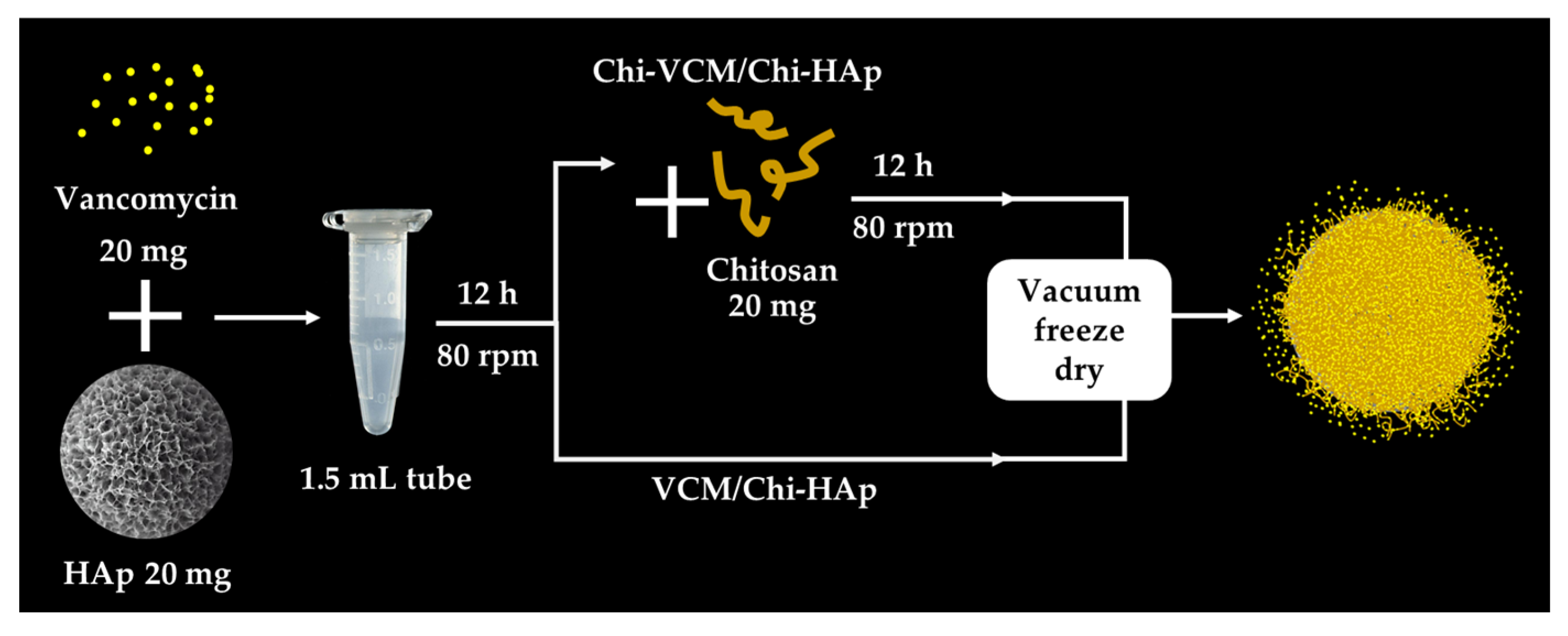 Pharmaceutics 16 00730 g002