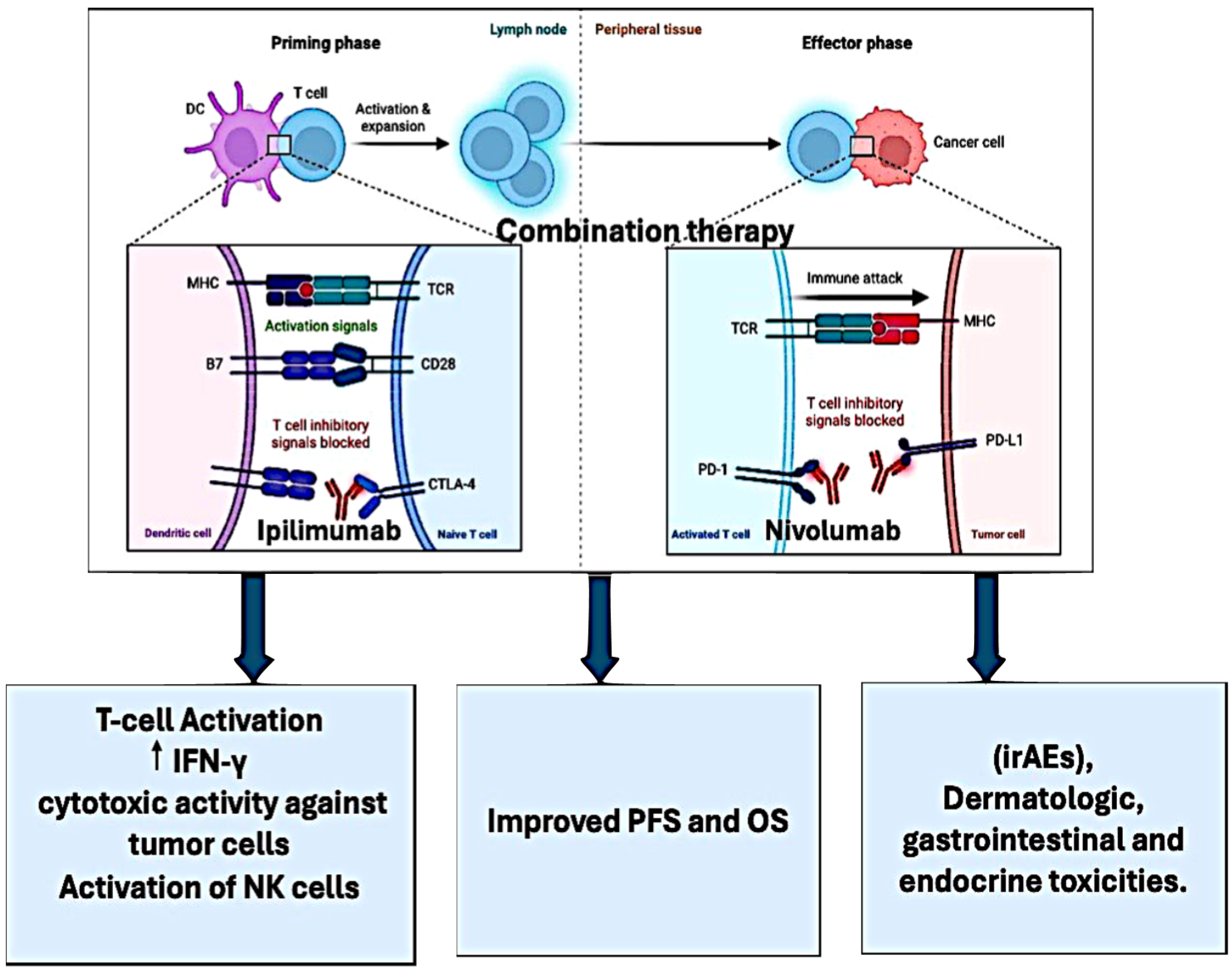 Pharmaceutics 16 00732 g001