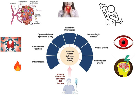 Pharmaceutics | Free Full-Text | Nivolumab and Ipilimumab Acting as ...