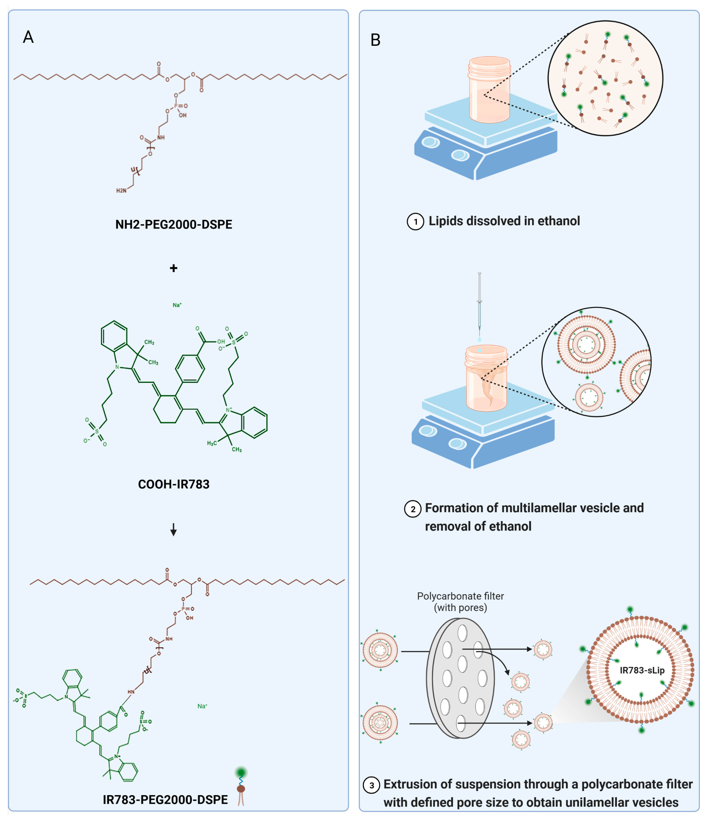 Pharmaceutics 16 00744 g001