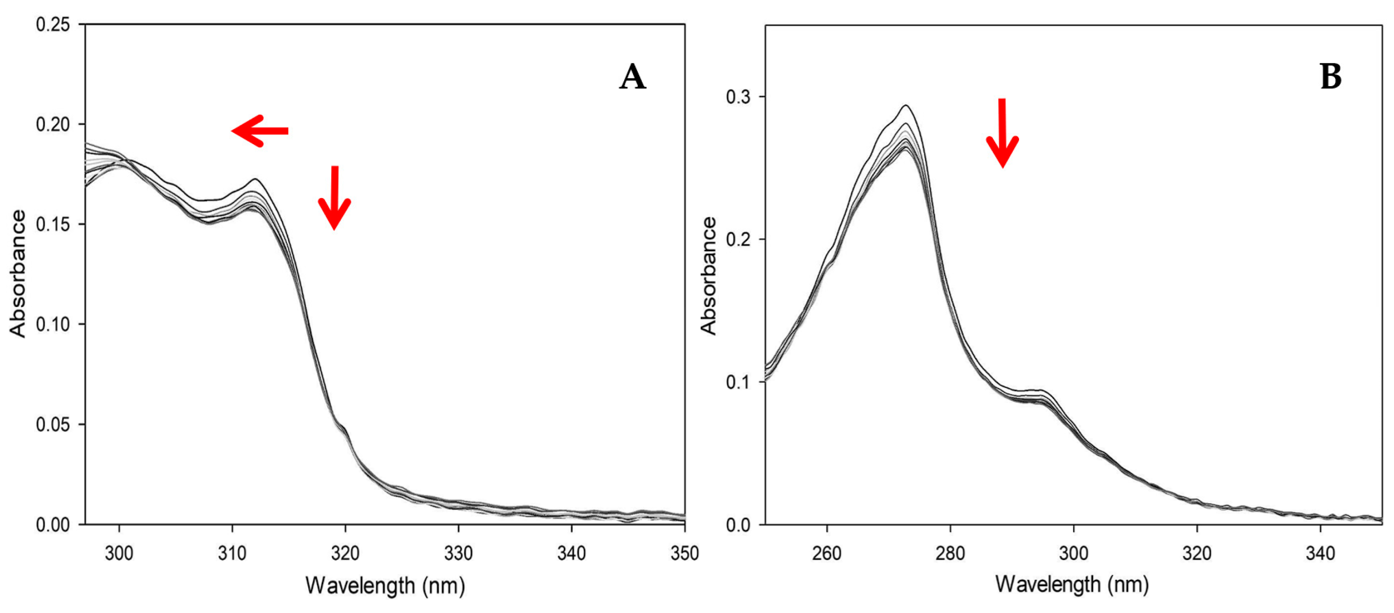 Pharmaceutics 16 00747 g008