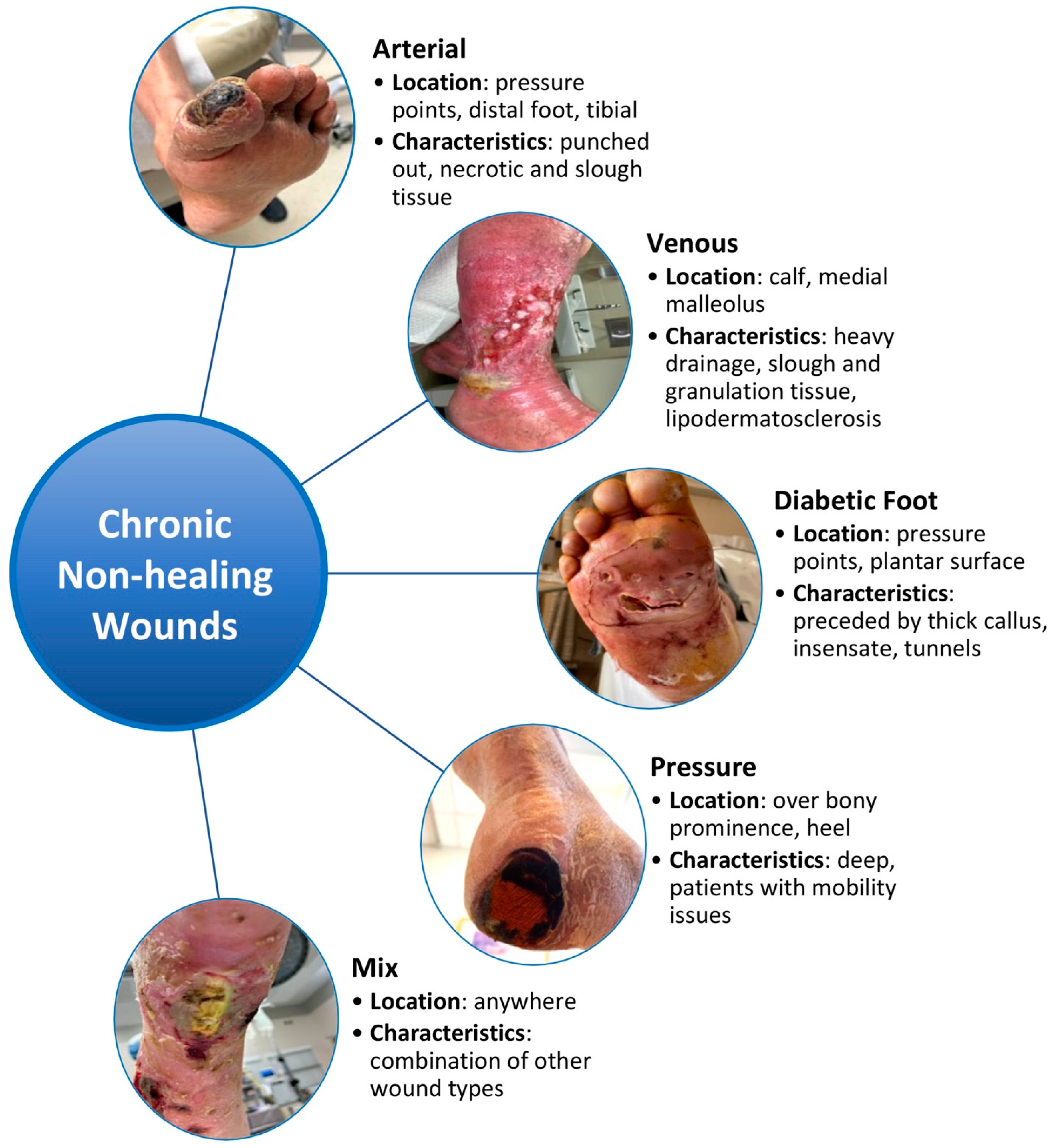 Pharmaceutics 16 00750 g001 Pharmaceutics 16 00750 g001