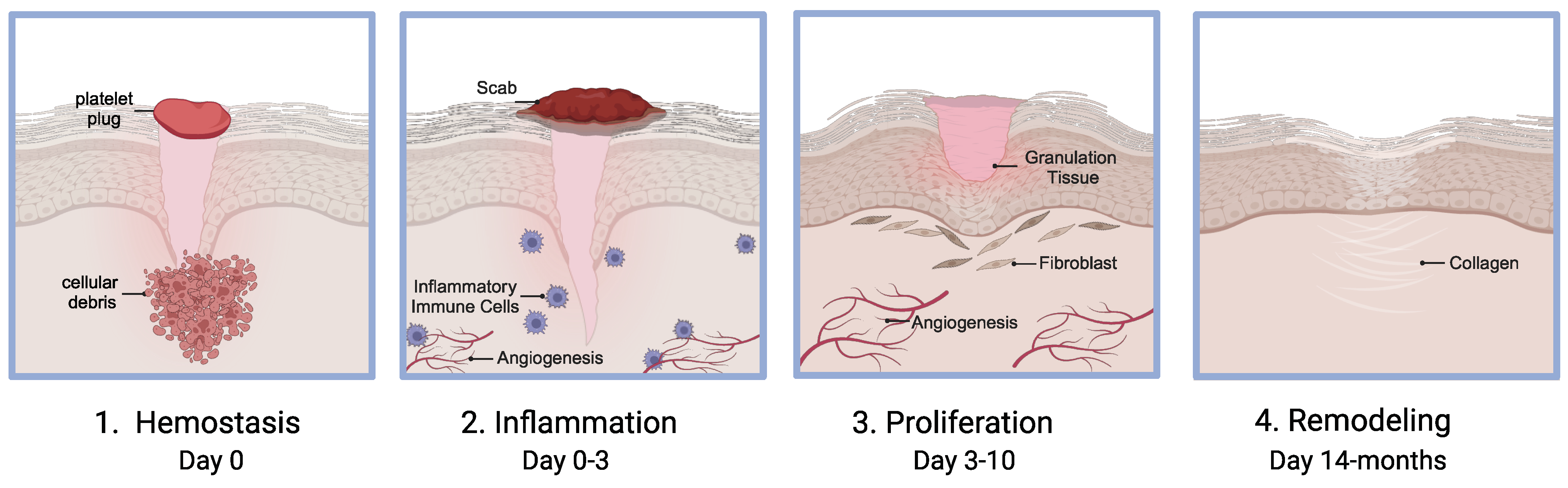 Pharmaceutics 16 00750 g002 Pharmaceutics 16 00750 g002