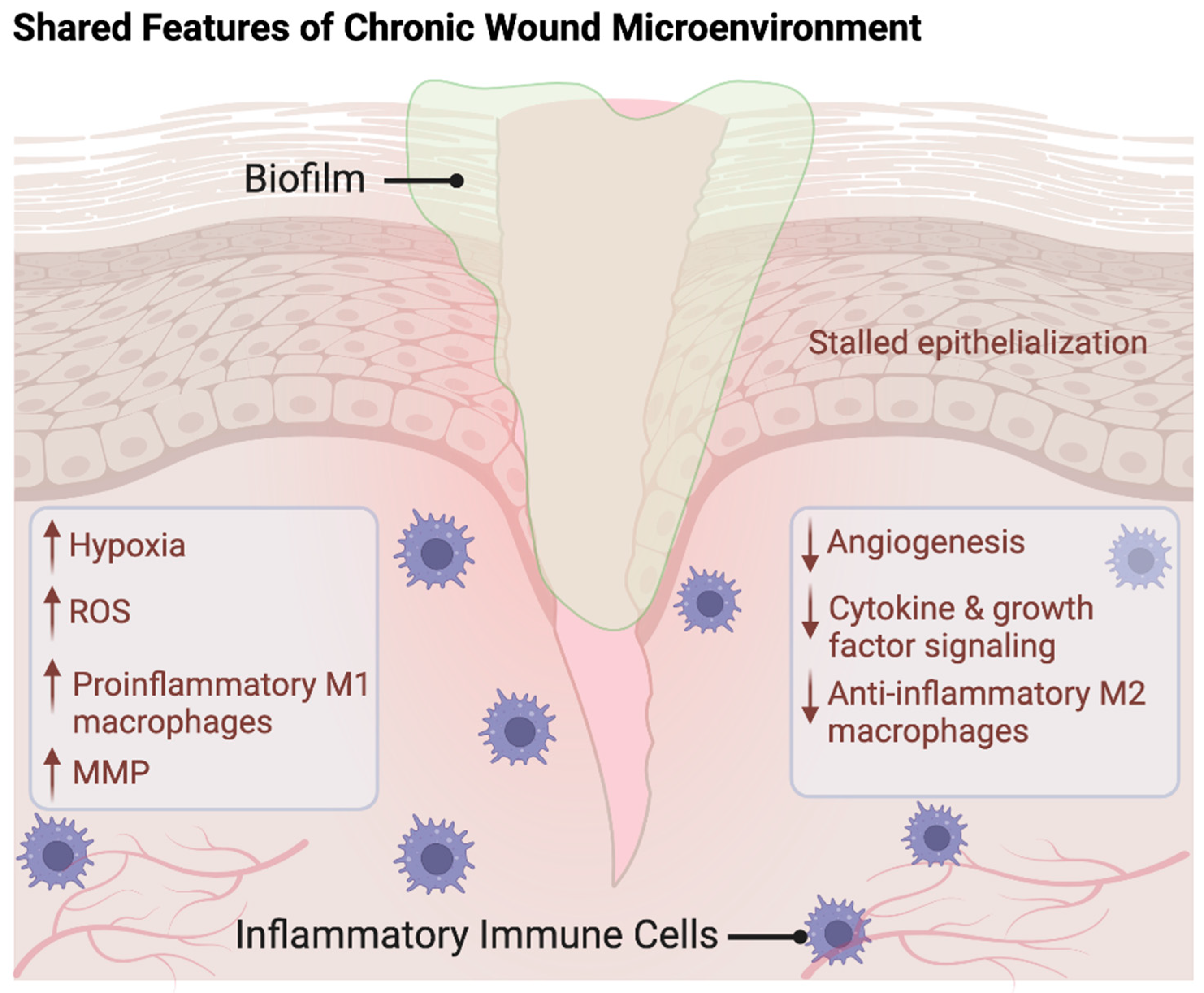 Pharmaceutics 16 00750 g003 Pharmaceutics 16 00750 g003