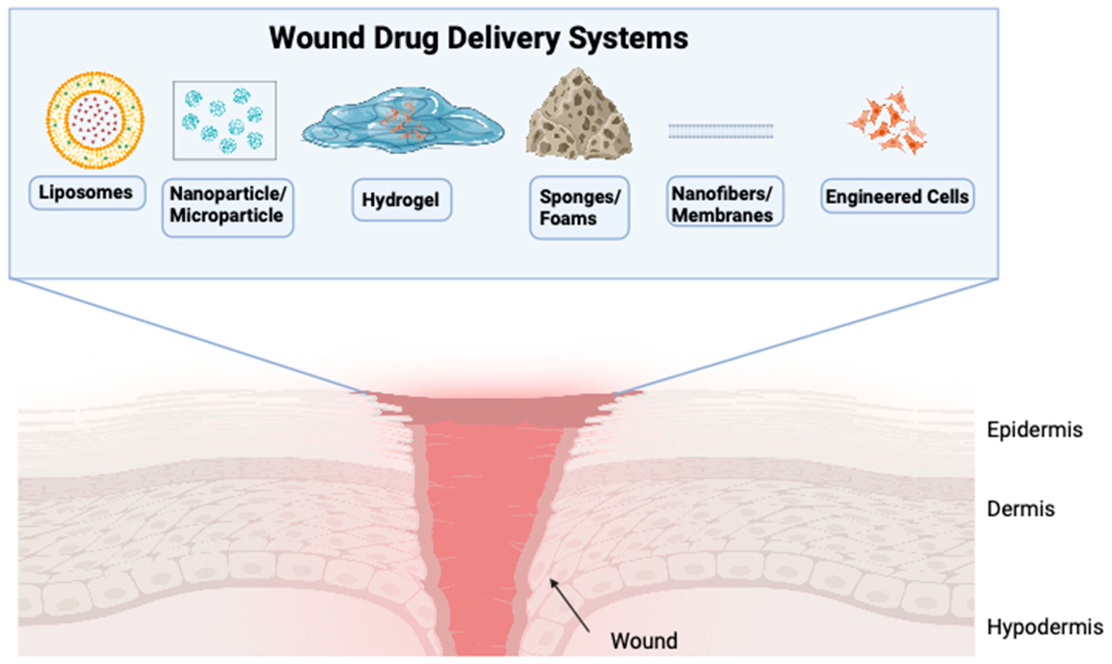 Pharmaceutics 16 00750 g004 Pharmaceutics 16 00750 g004