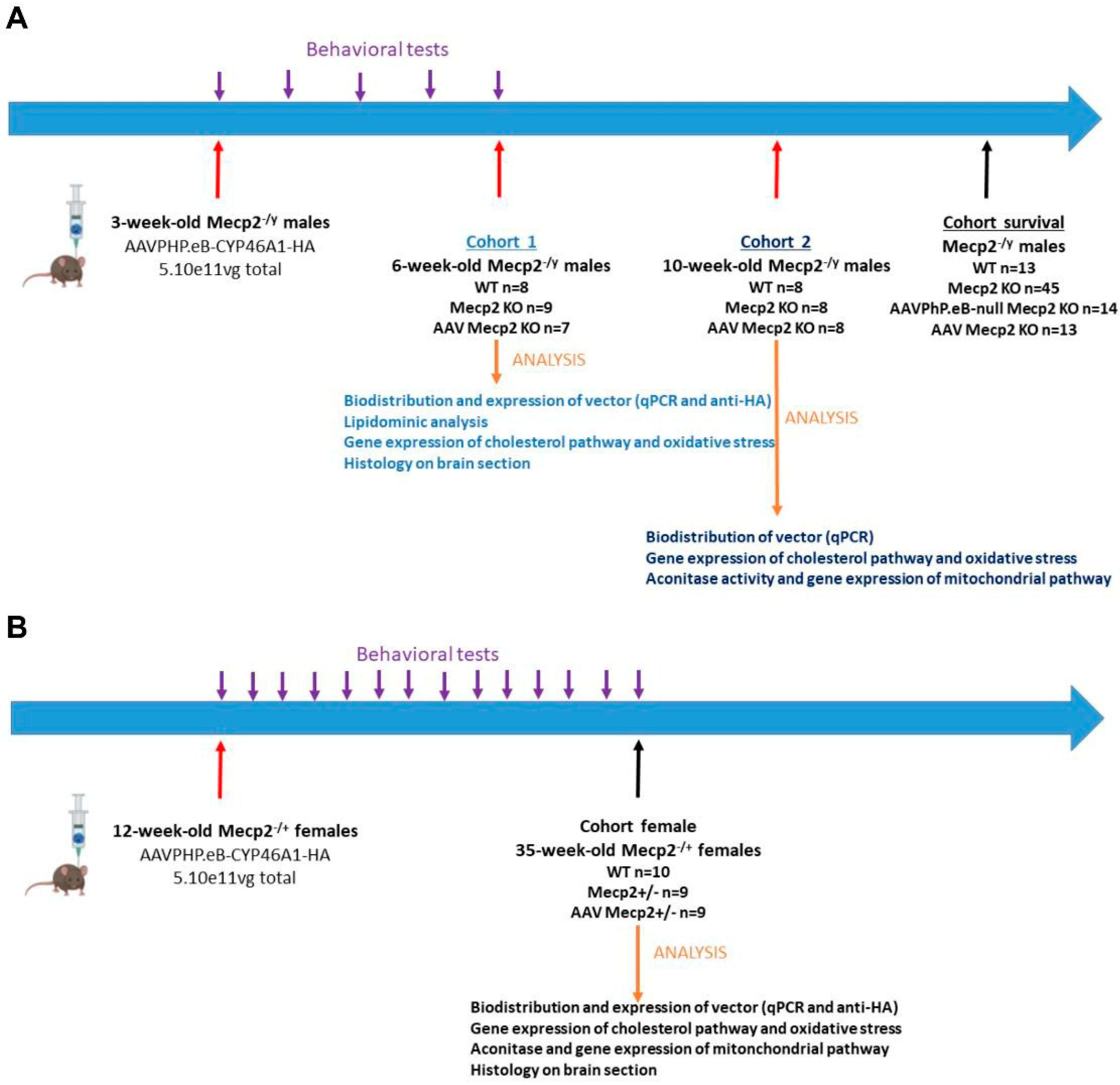 Pharmaceutics 16 00756 g001