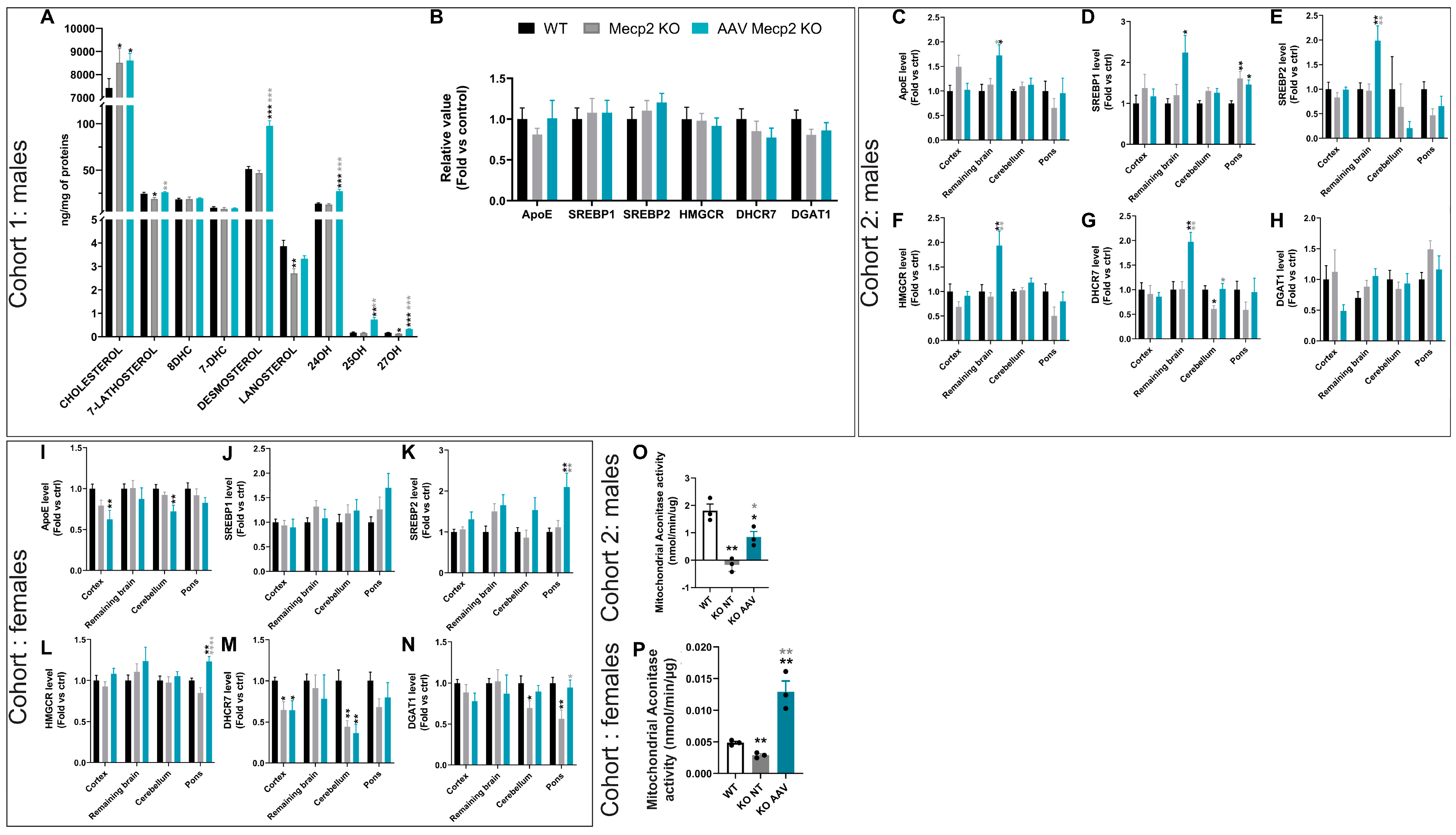 Pharmaceutics 16 00756 g006