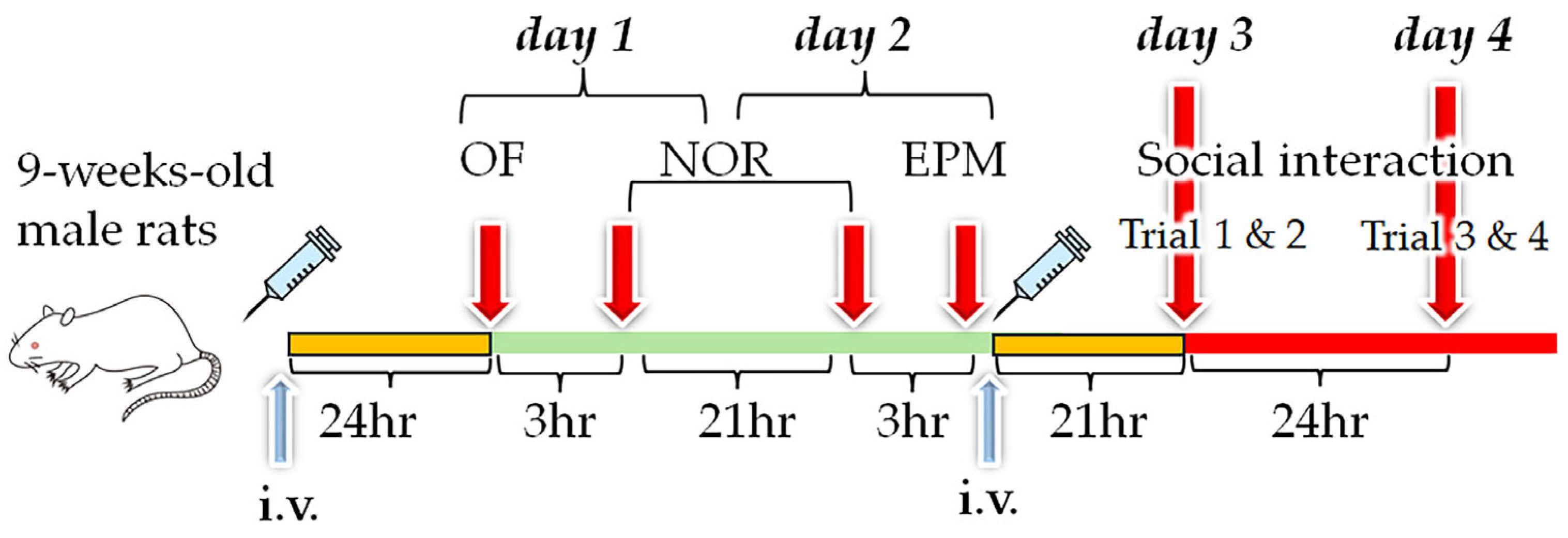 Pharmaceutics 16 00762 g002
