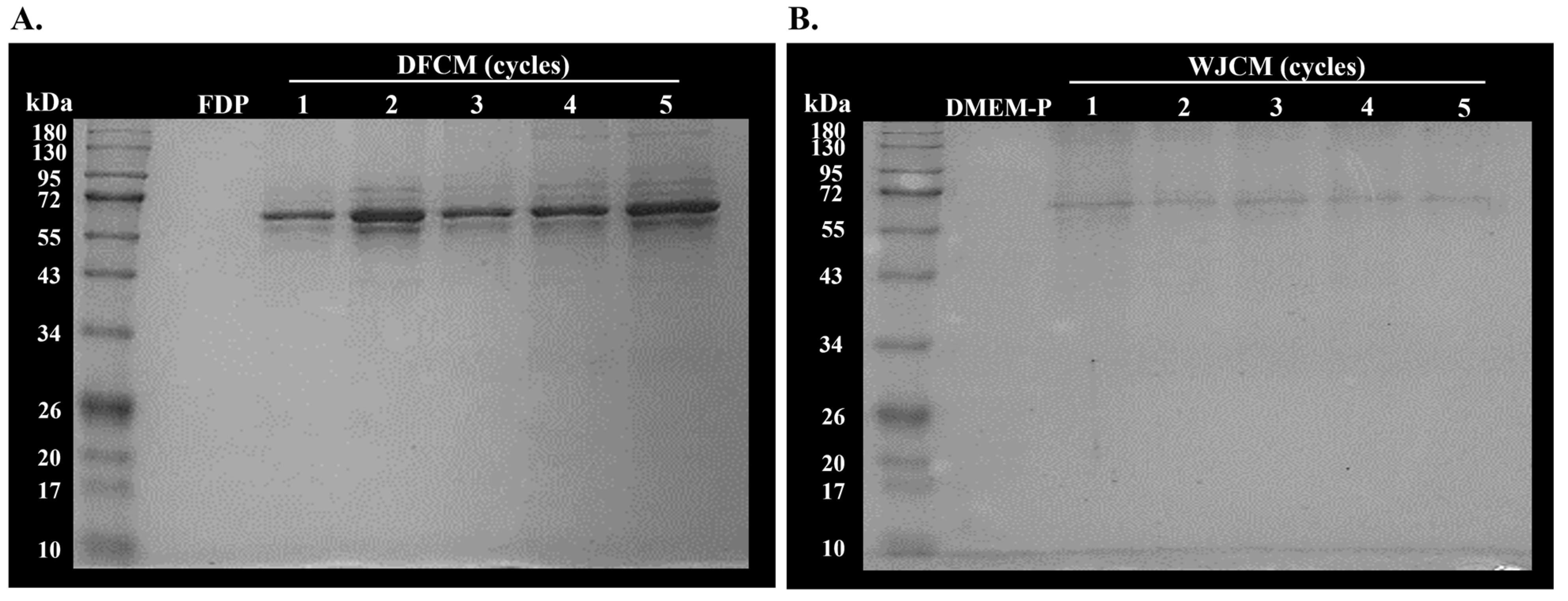 Pharmaceutics 16 00767 g002