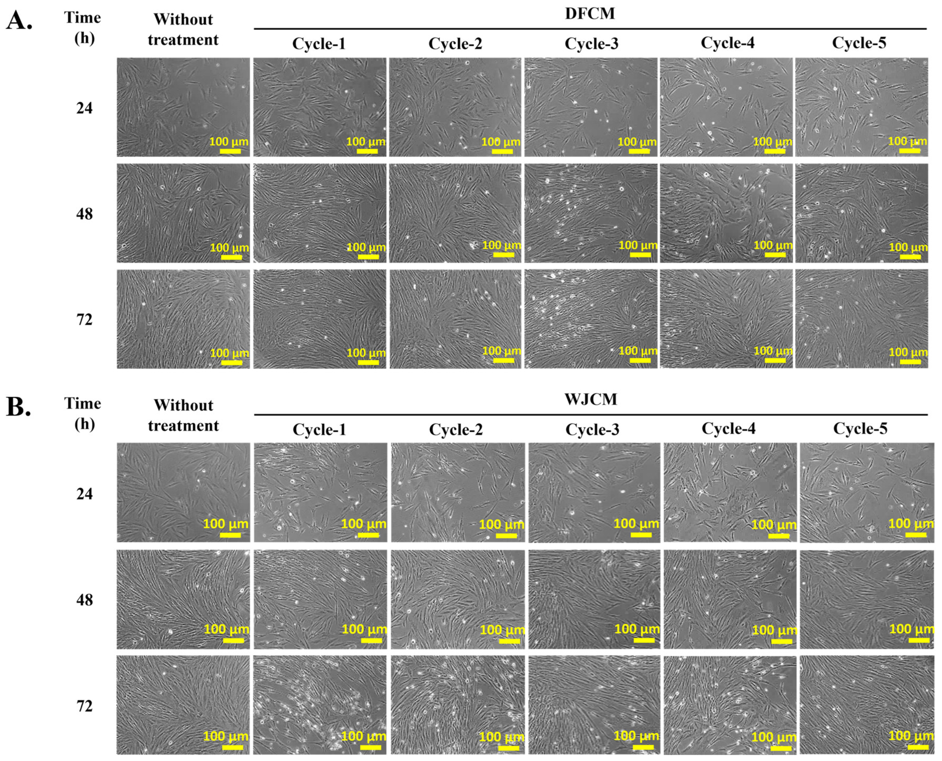 Pharmaceutics 16 00767 g003
