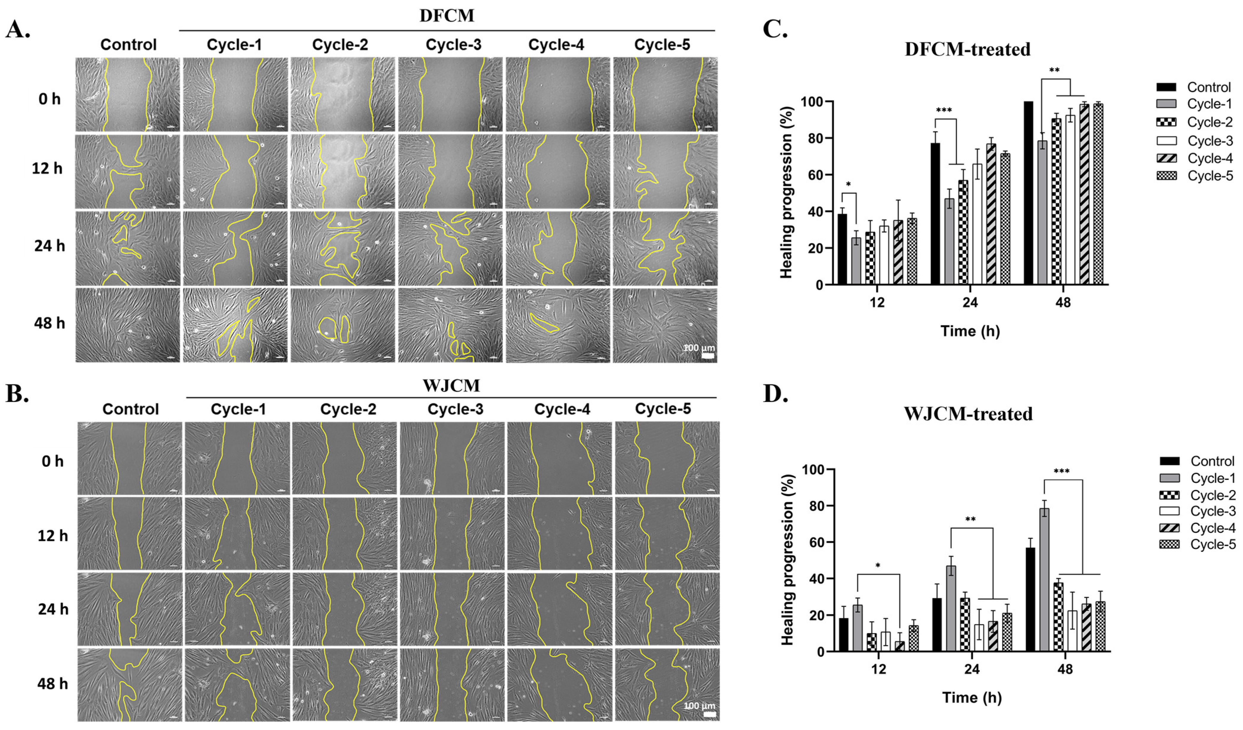 Pharmaceutics 16 00767 g006