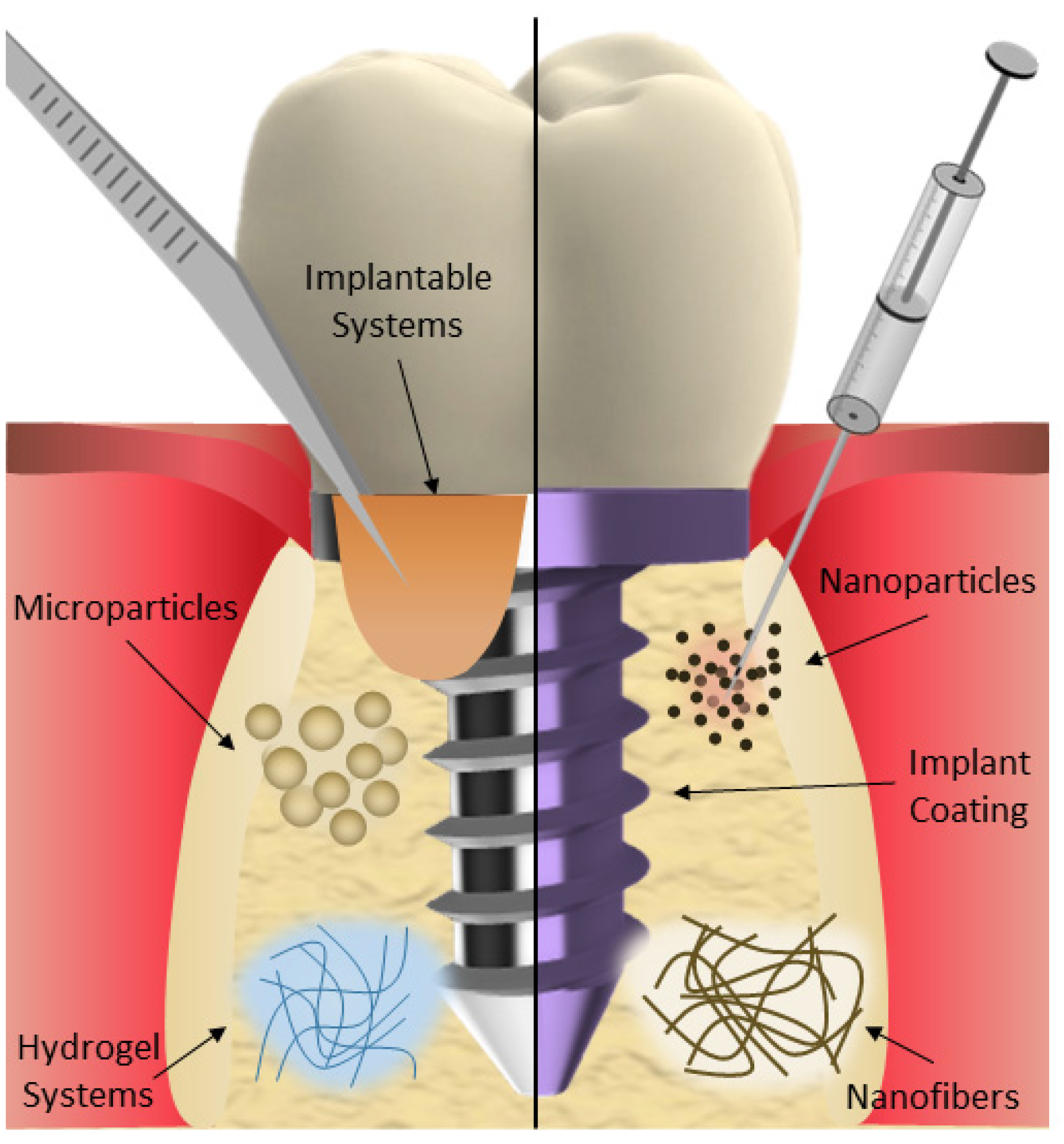 Pharmaceutics 16 00769 g002