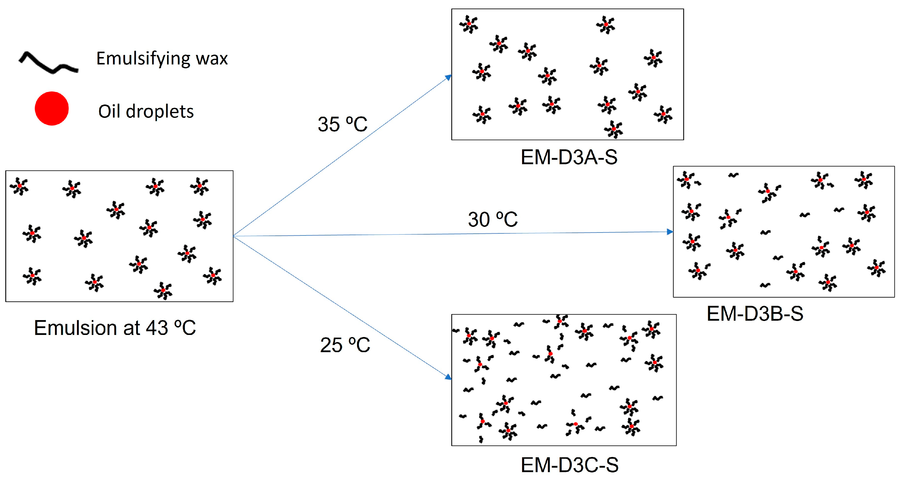 Pharmaceutics 16 00773 g011