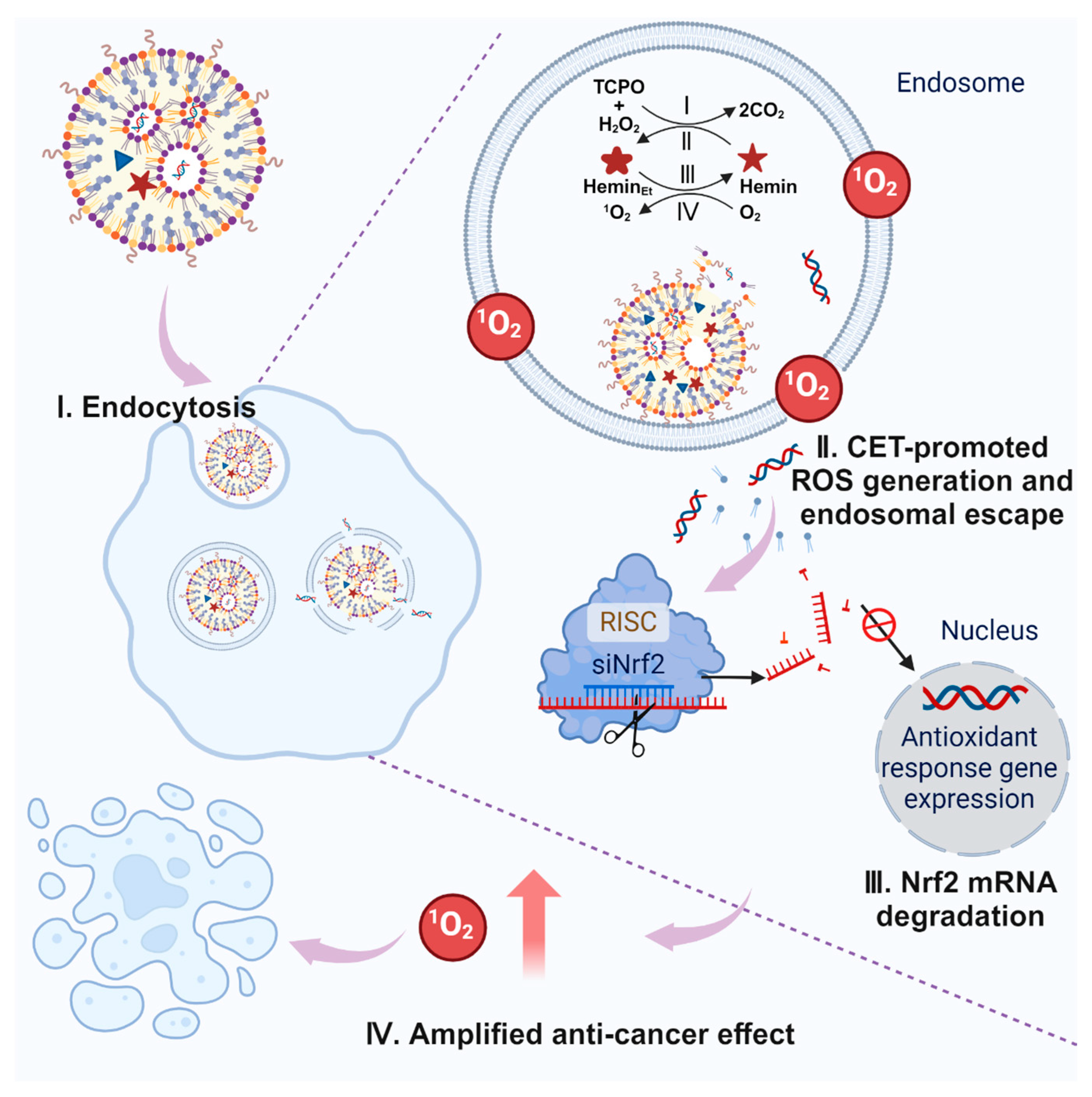 Pharmaceutics 16 00779 sch001