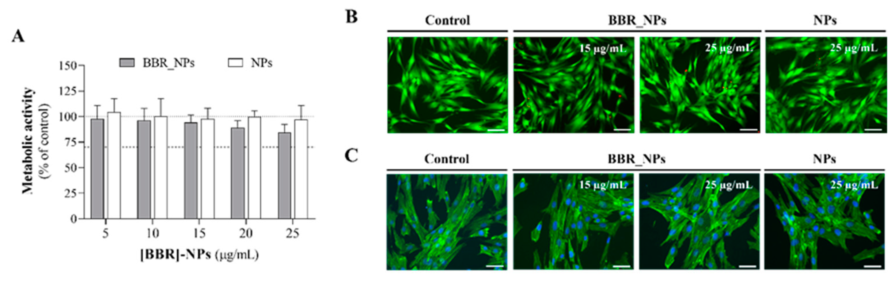 Pharmaceutics 16 00786 g006
