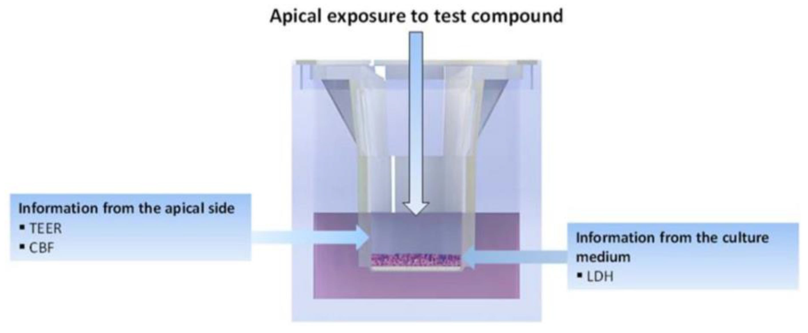 Pharmaceutics 16 00791 g001