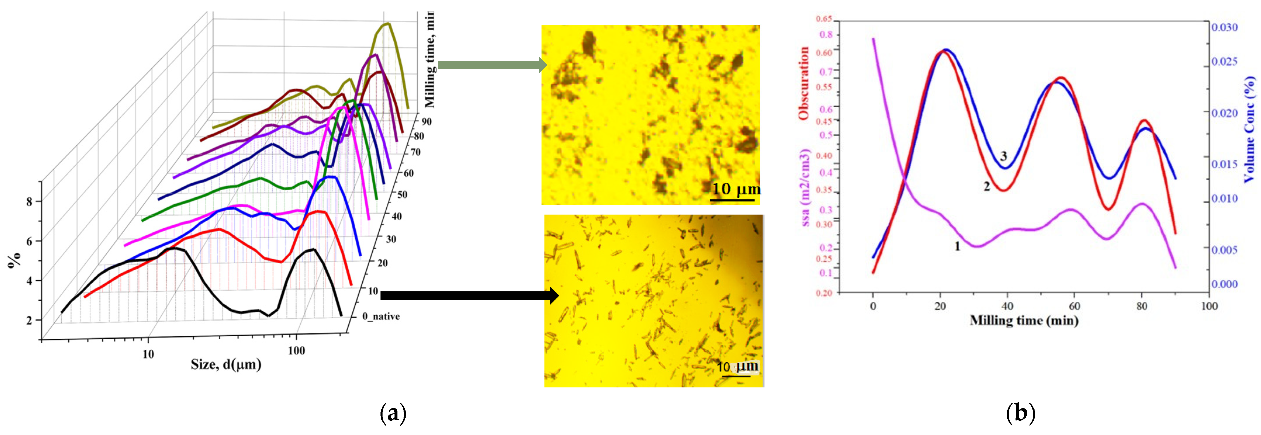 Pharmaceutics 16 00798 g006