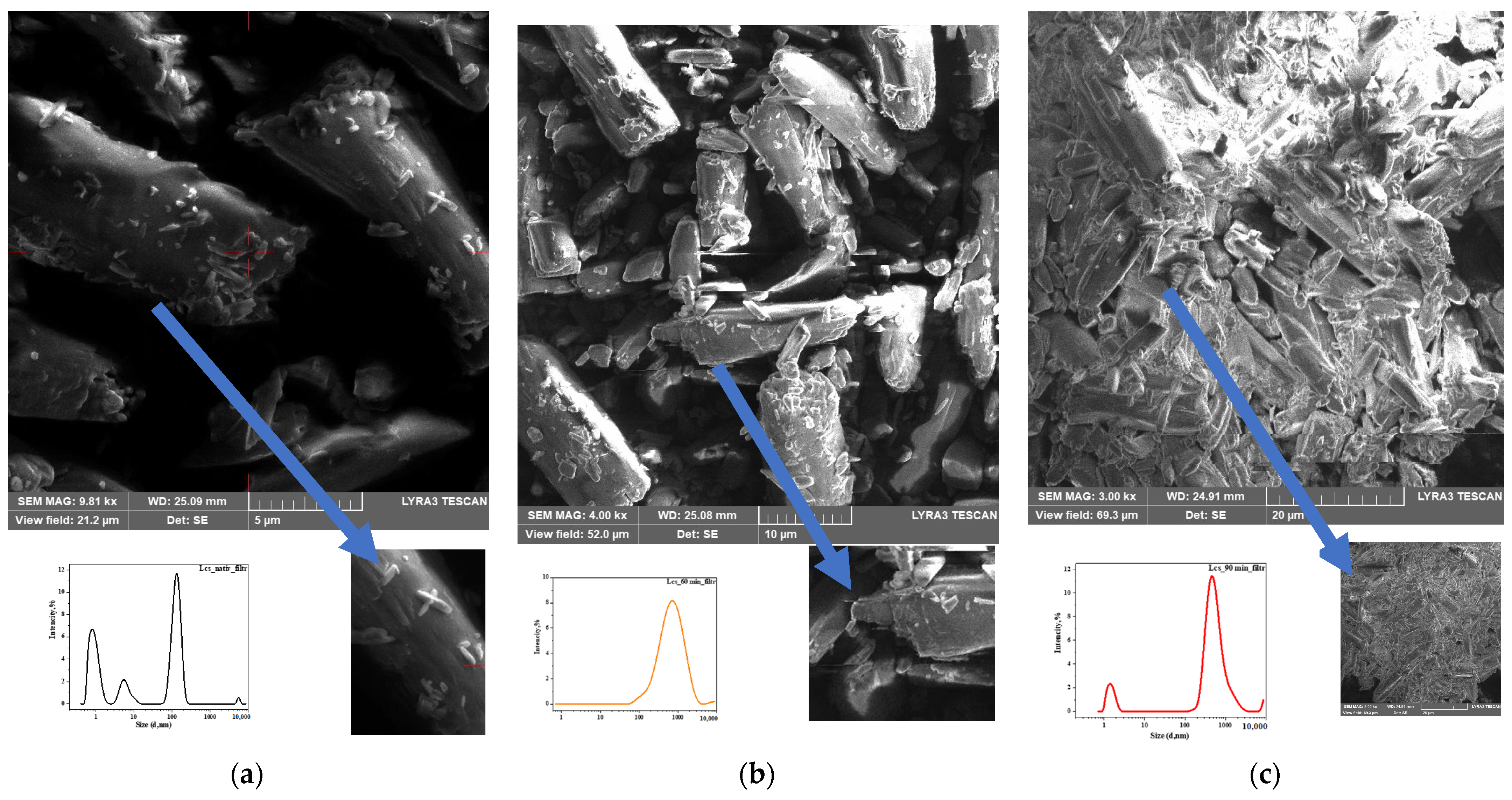 Pharmaceutics 16 00798 g009