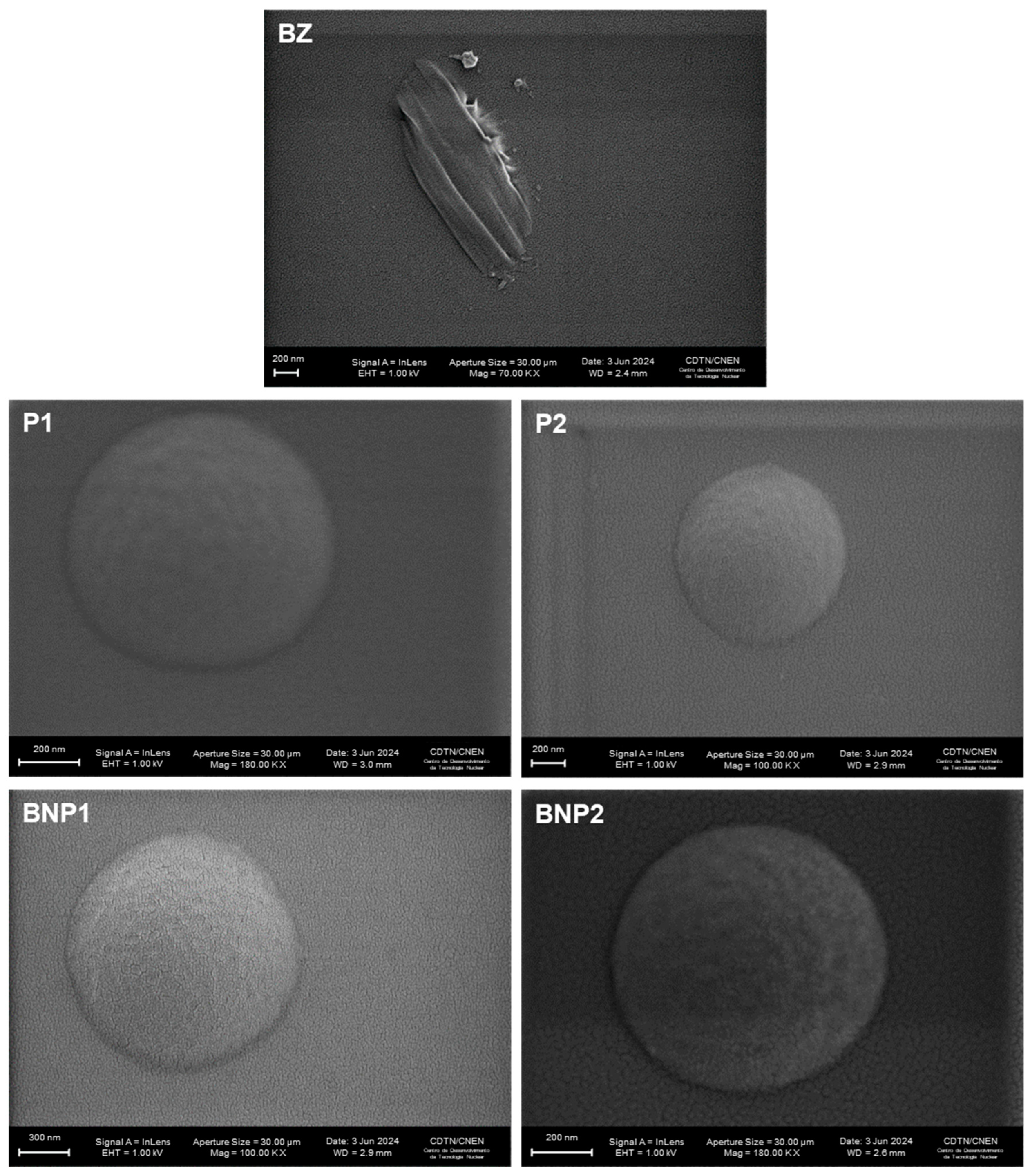 Pharmaceutics 16 00800 g003