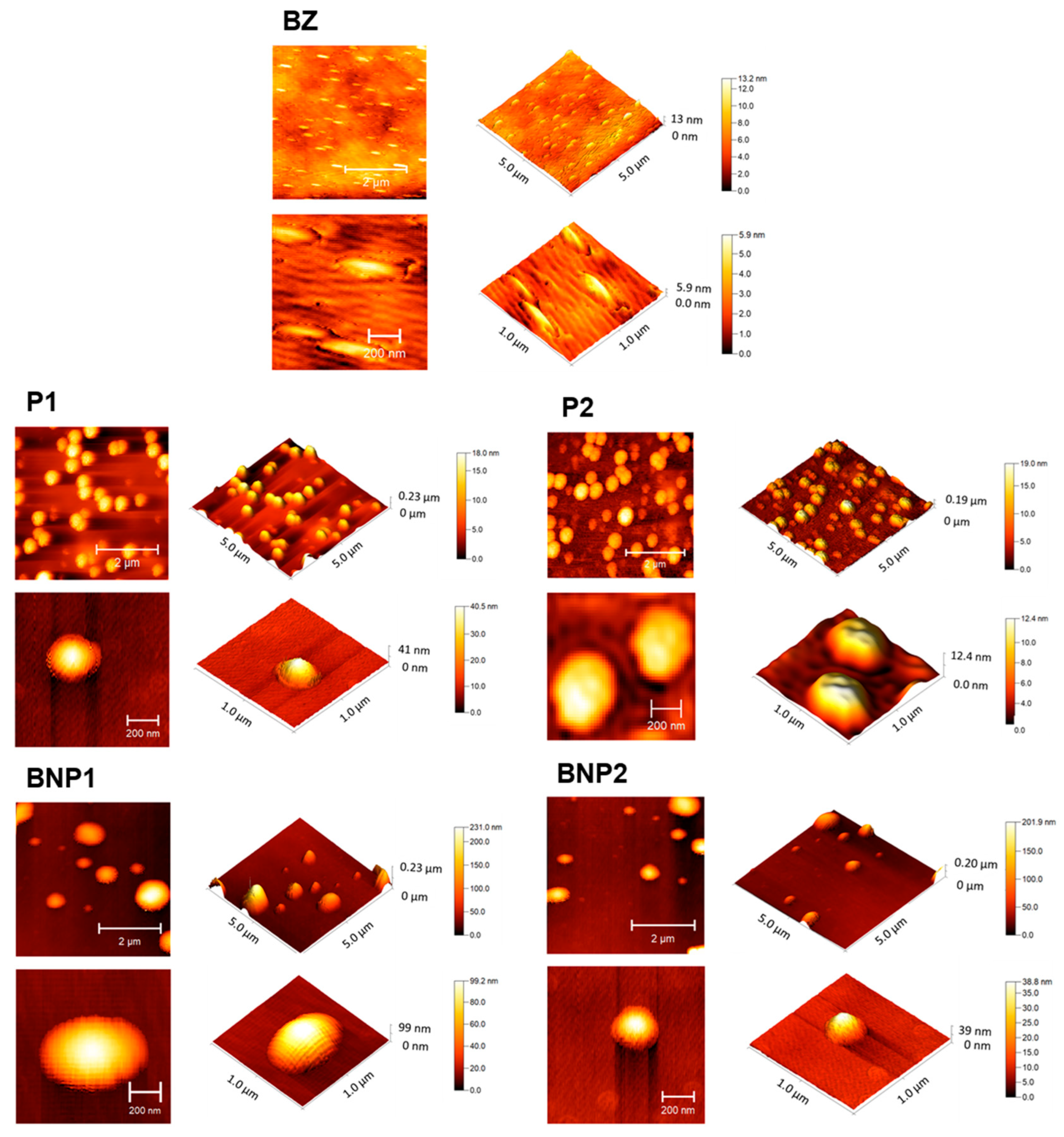 Pharmaceutics 16 00800 g004