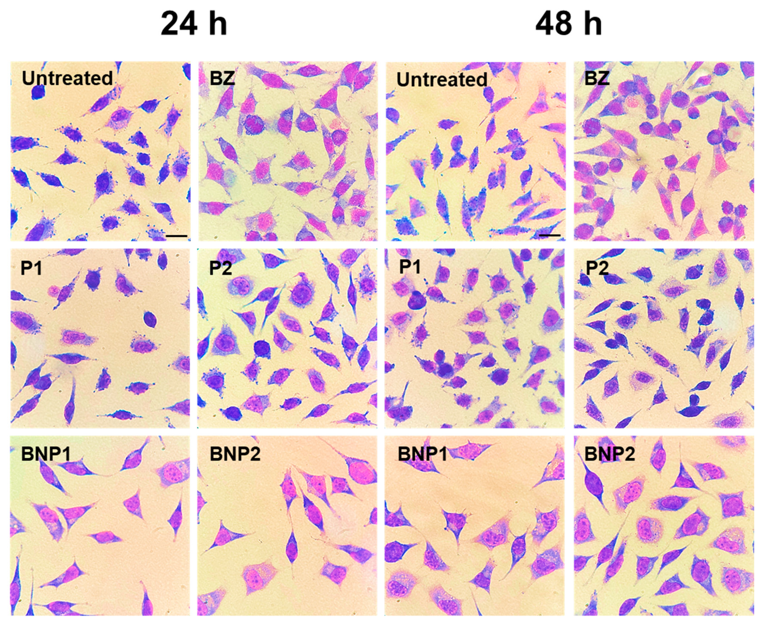 Pharmaceutics 16 00800 g008