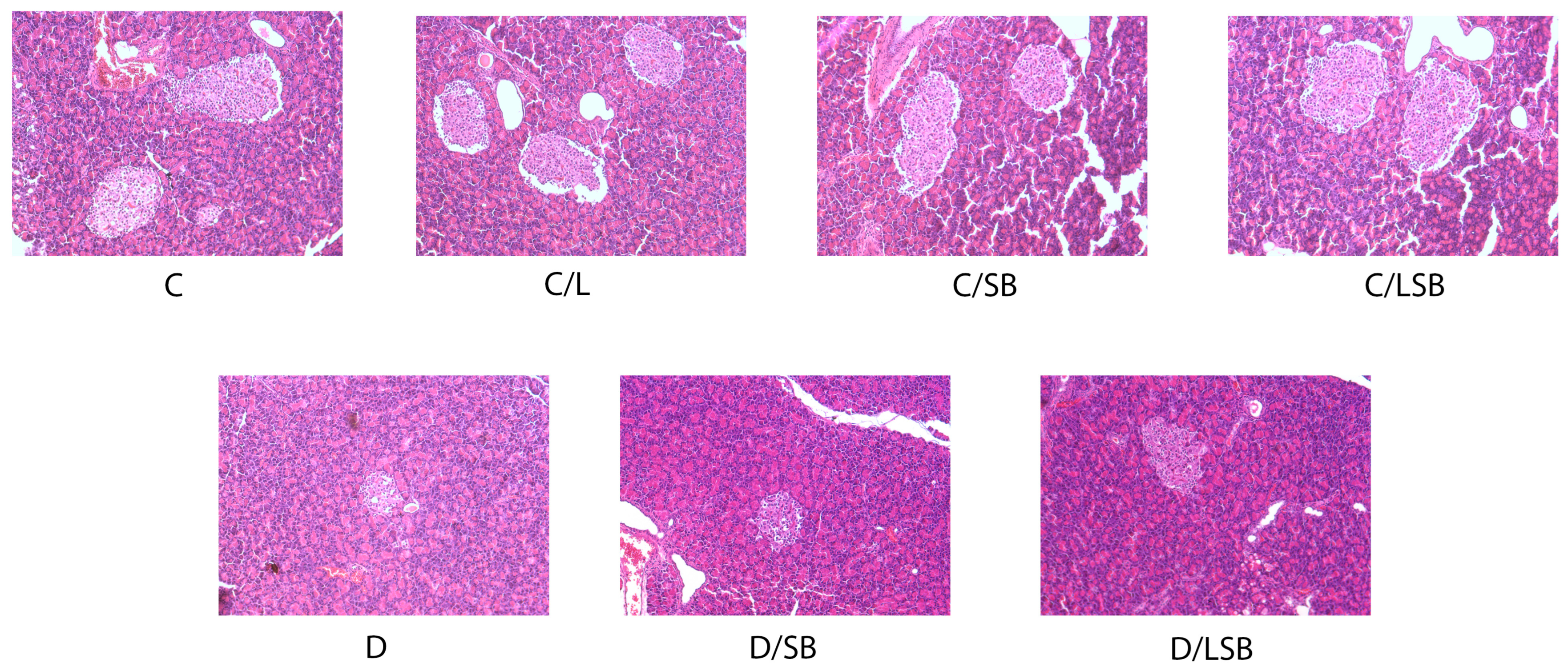 Pharmaceutics 16 00801 g003