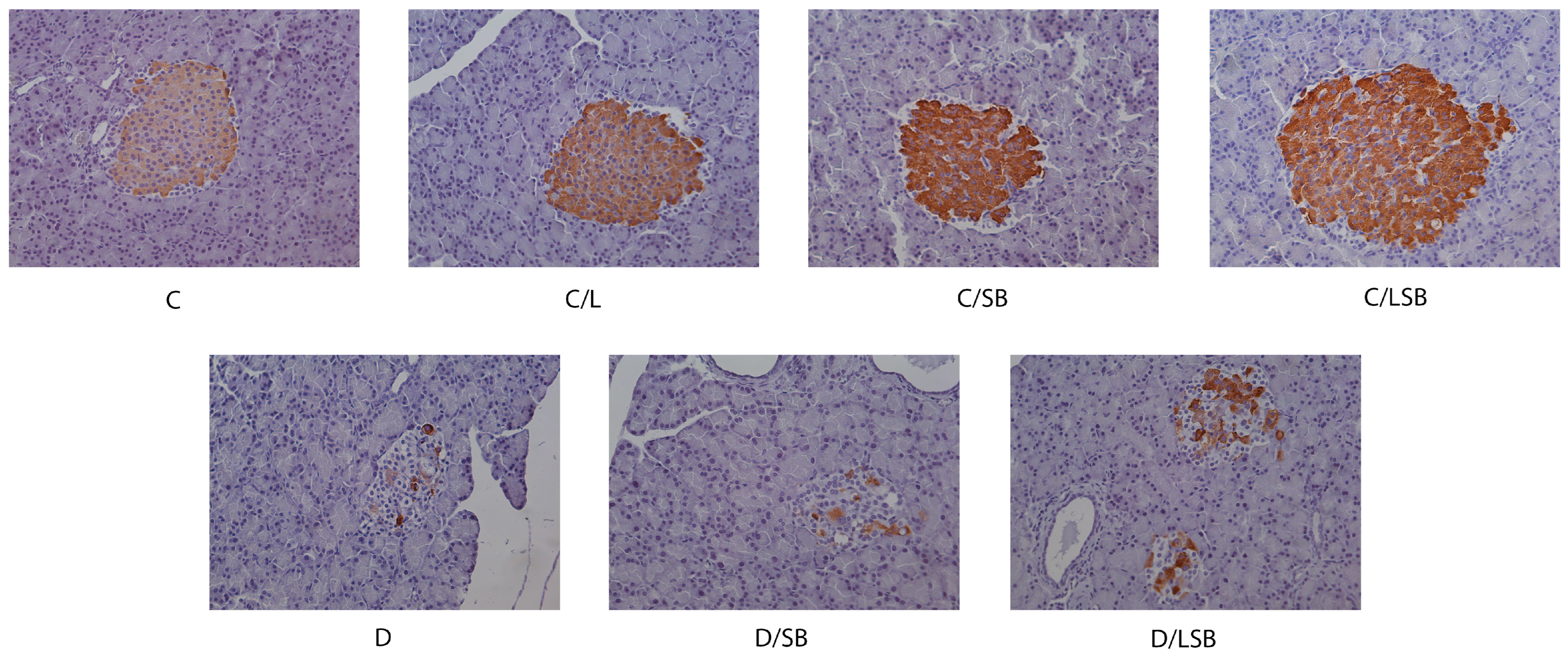 Pharmaceutics 16 00801 g004