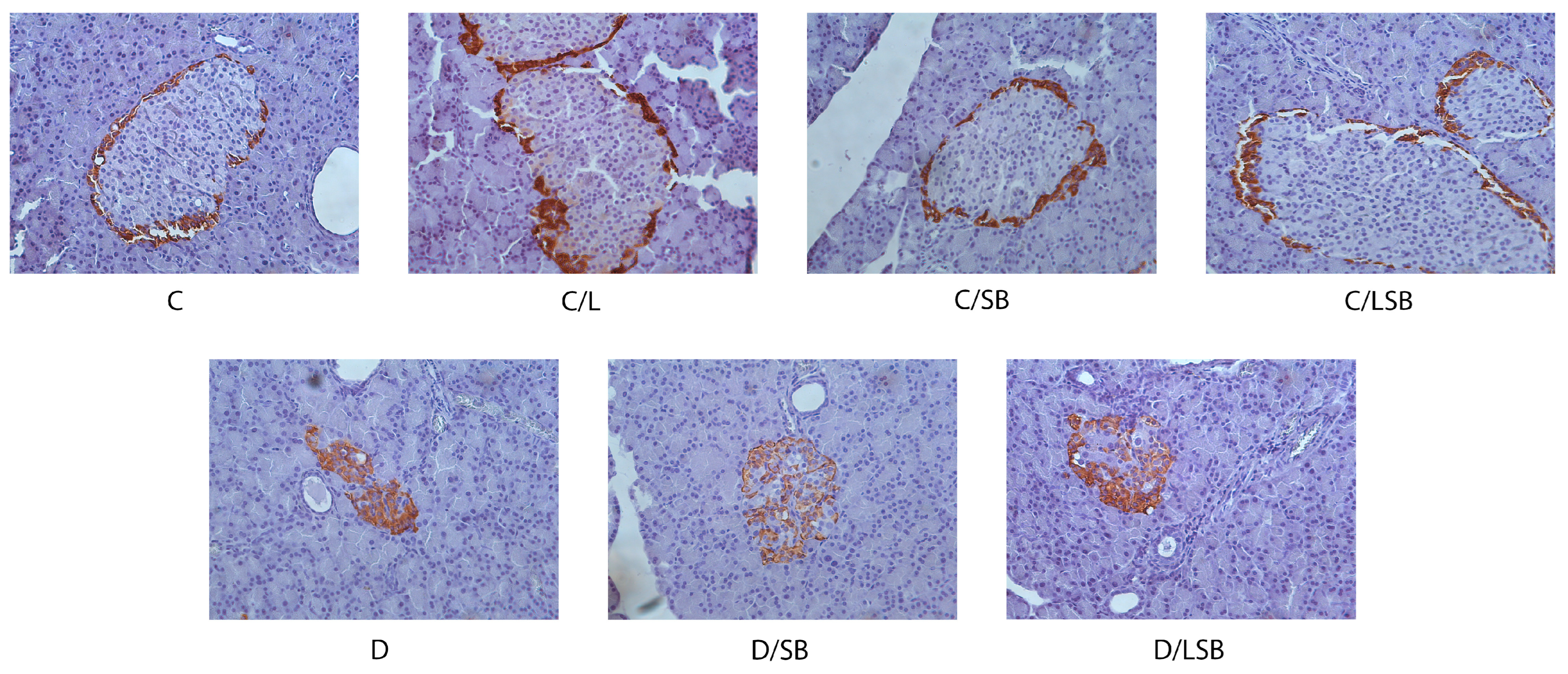 Pharmaceutics 16 00801 g005