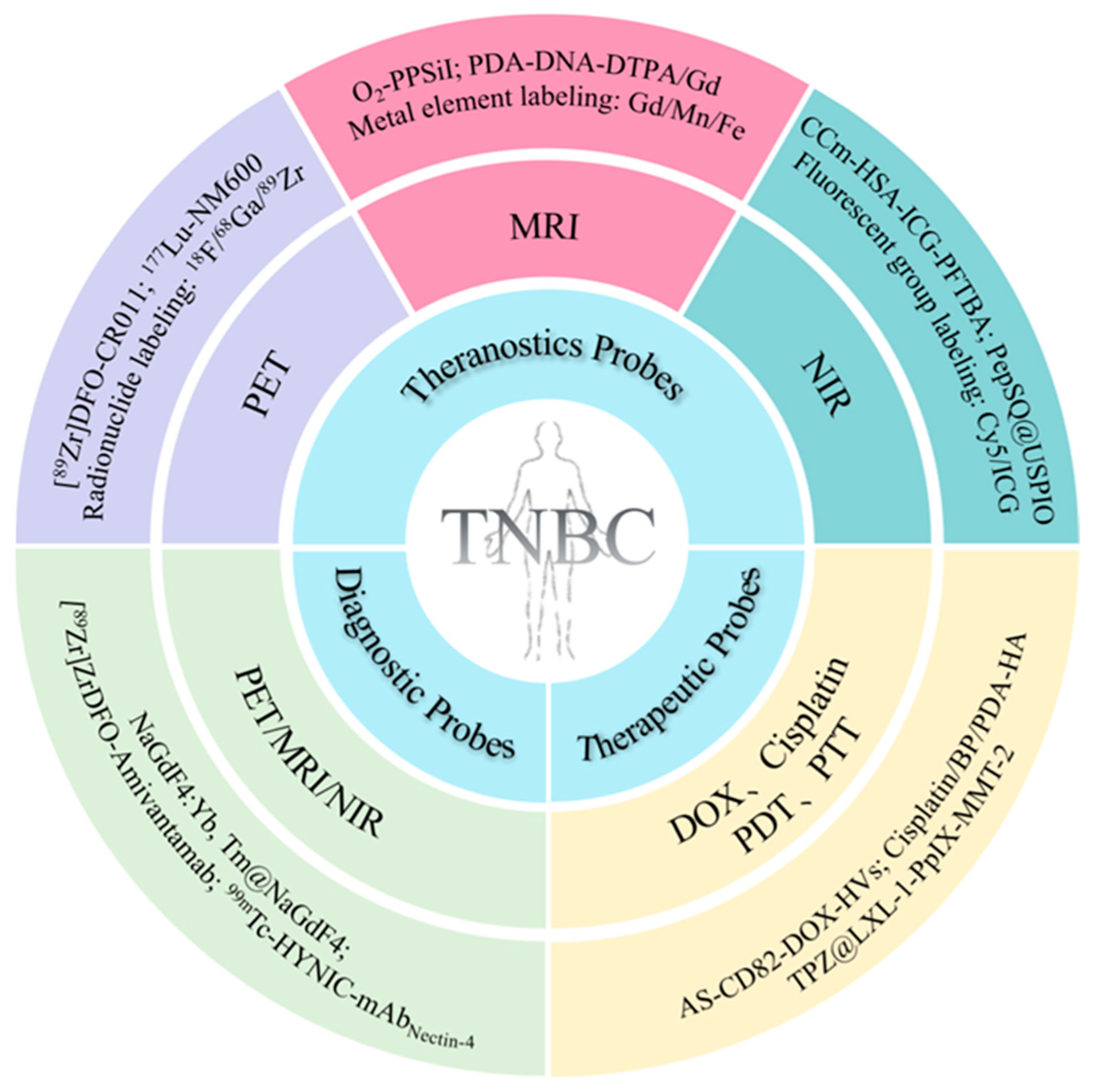 Pharmaceutics 16 00803 g001
