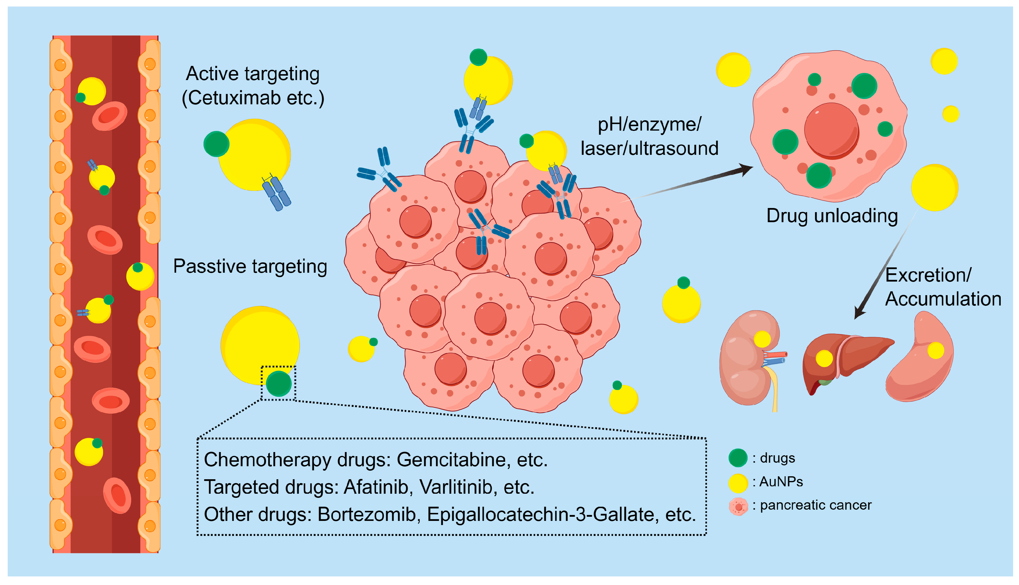 Pharmaceutics 16 00806 g002