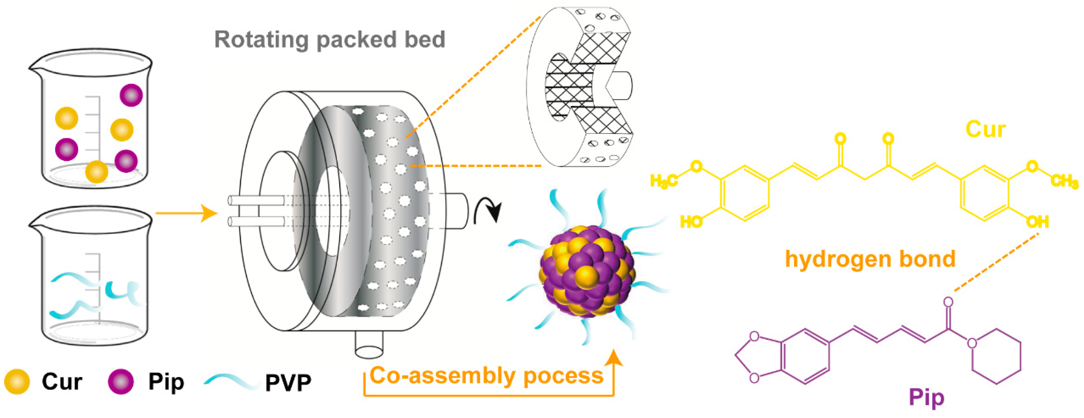 Pharmaceutics 16 00808 g001