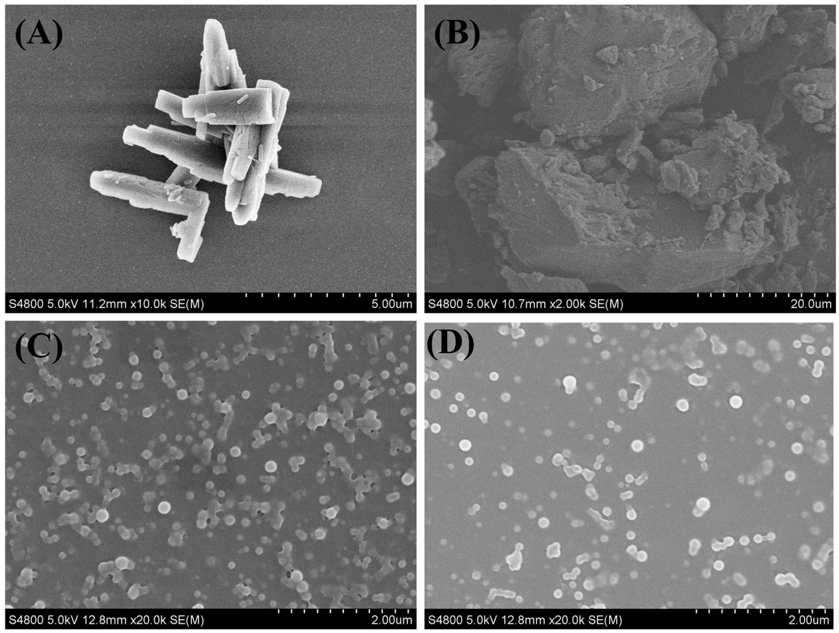 Pharmaceutics 16 00808 g005