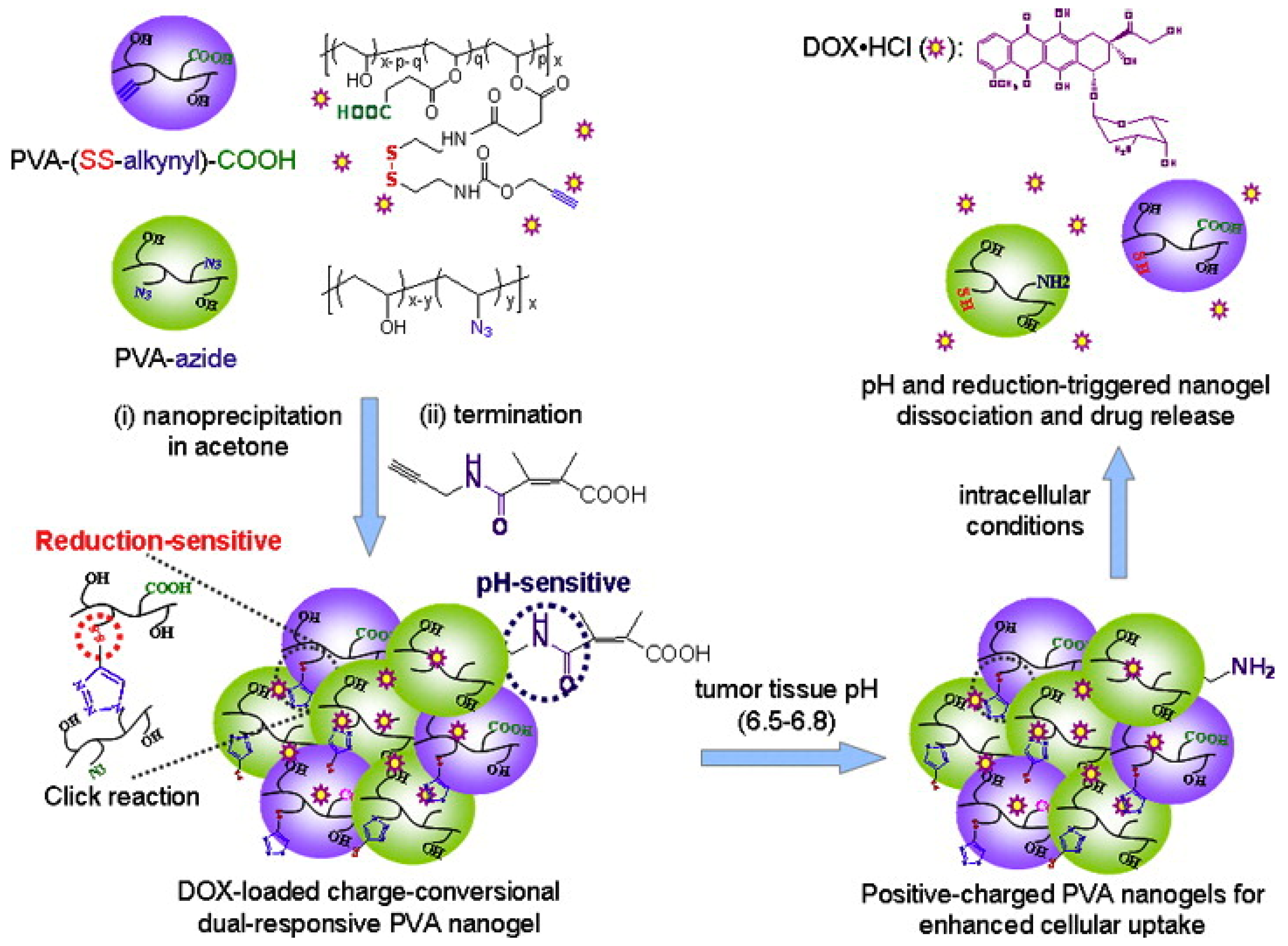 Pharmaceutics 16 00809 g007
