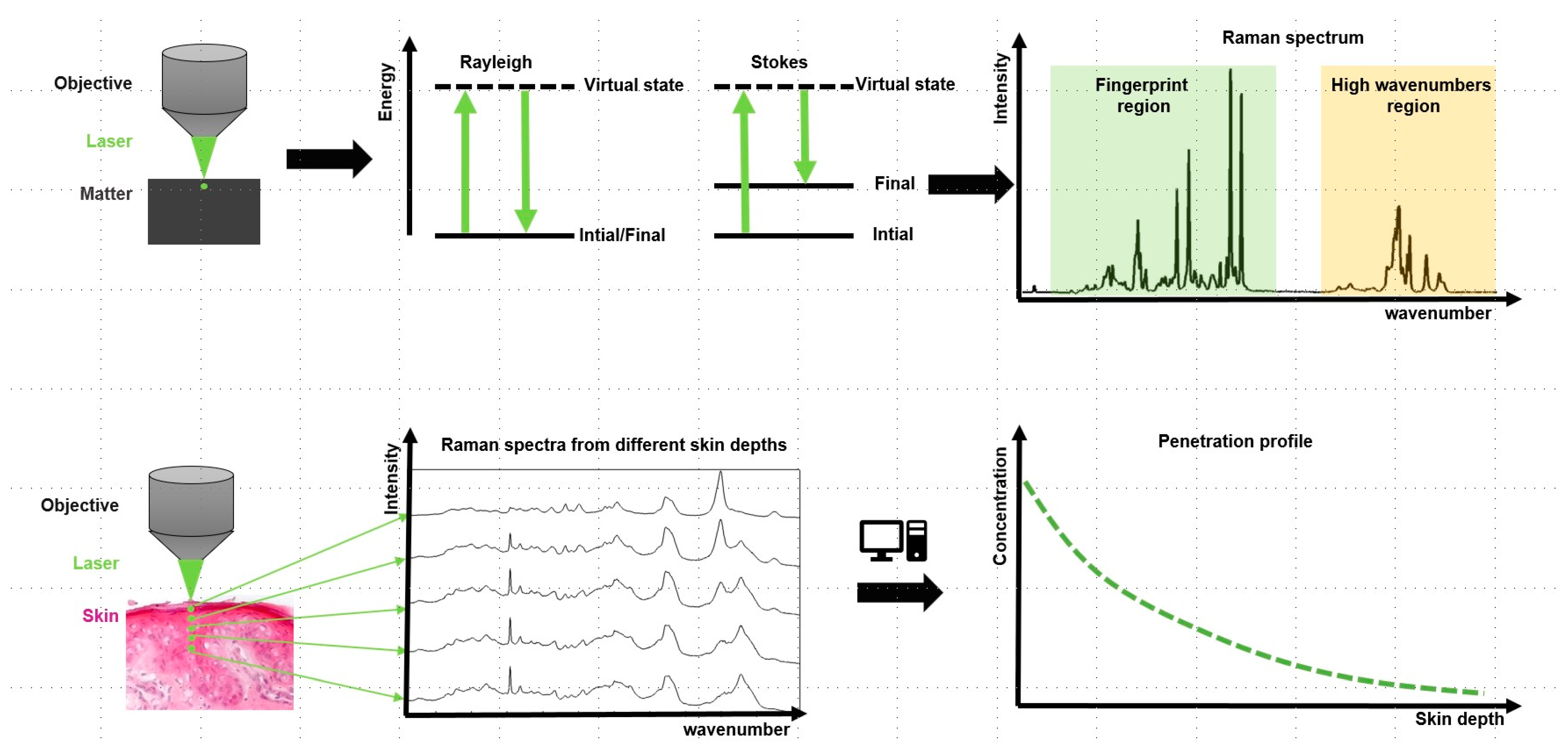 Pharmaceutics 16 00817 g003