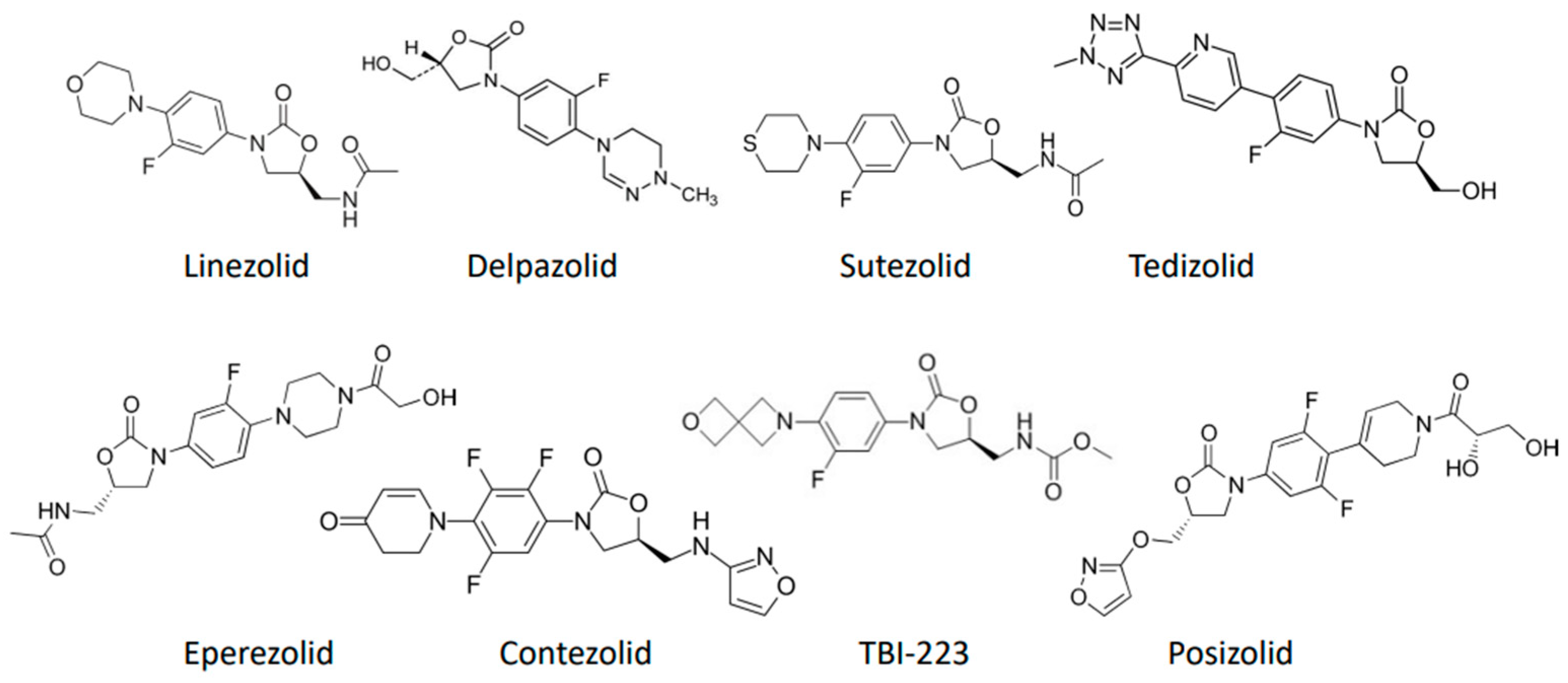 Pharmaceutics 16 00818 g001