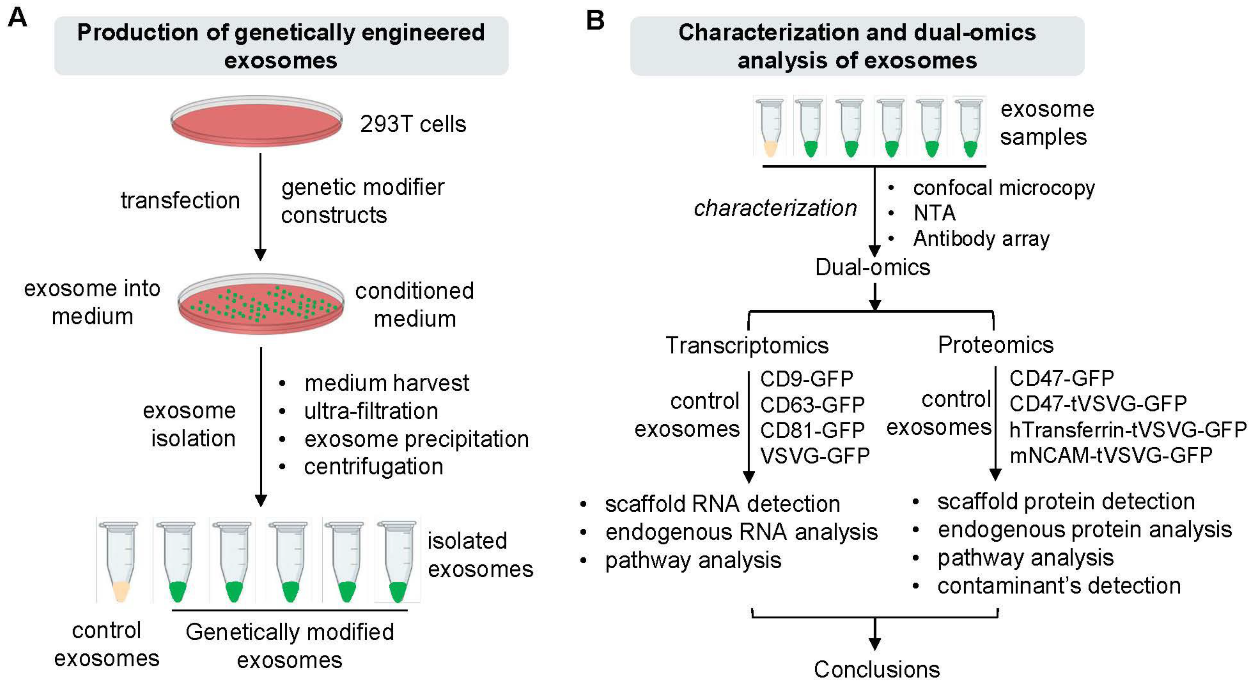 Pharmaceutics 16 00824 g001