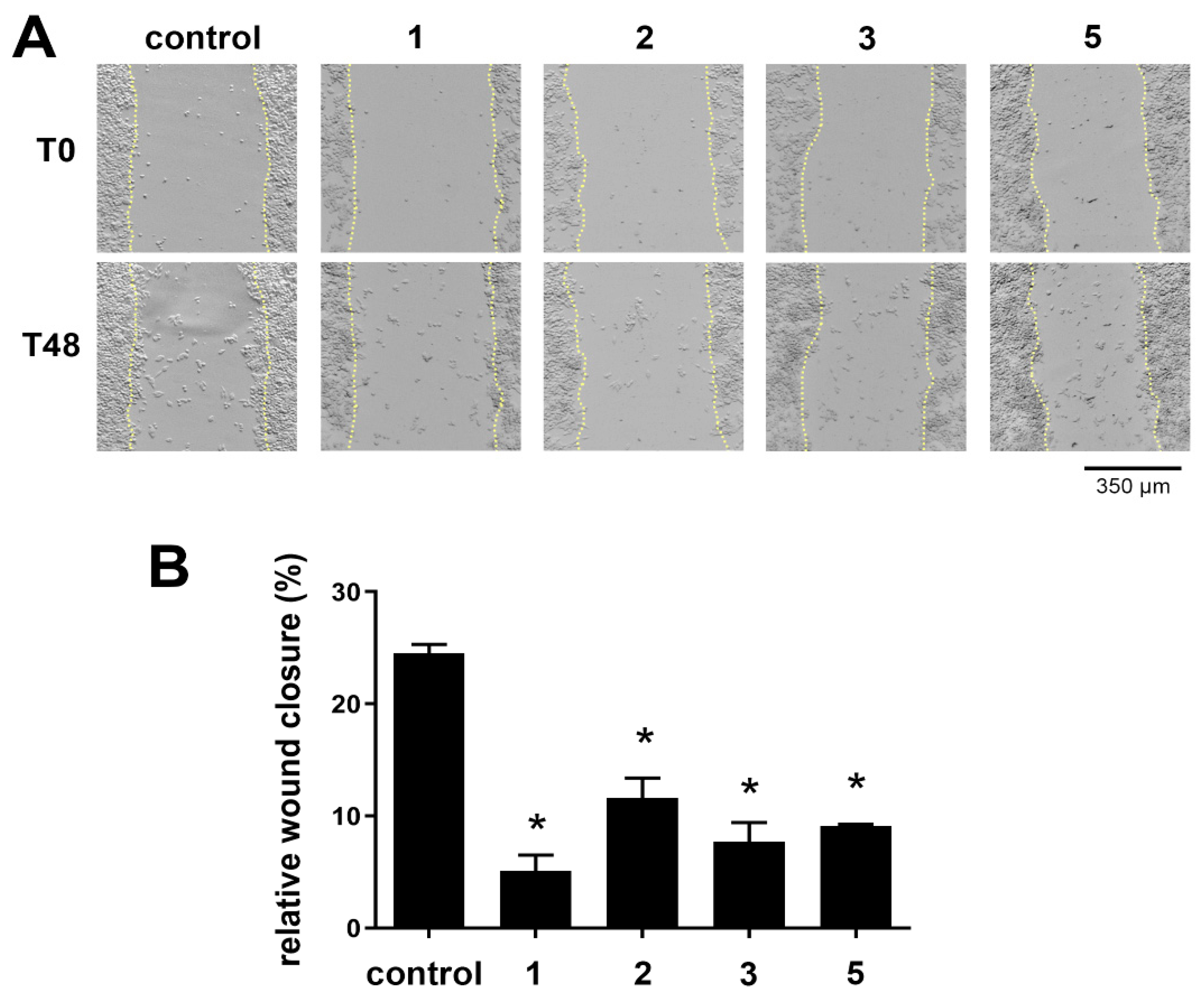 Pharmaceutics 16 00826 g003
