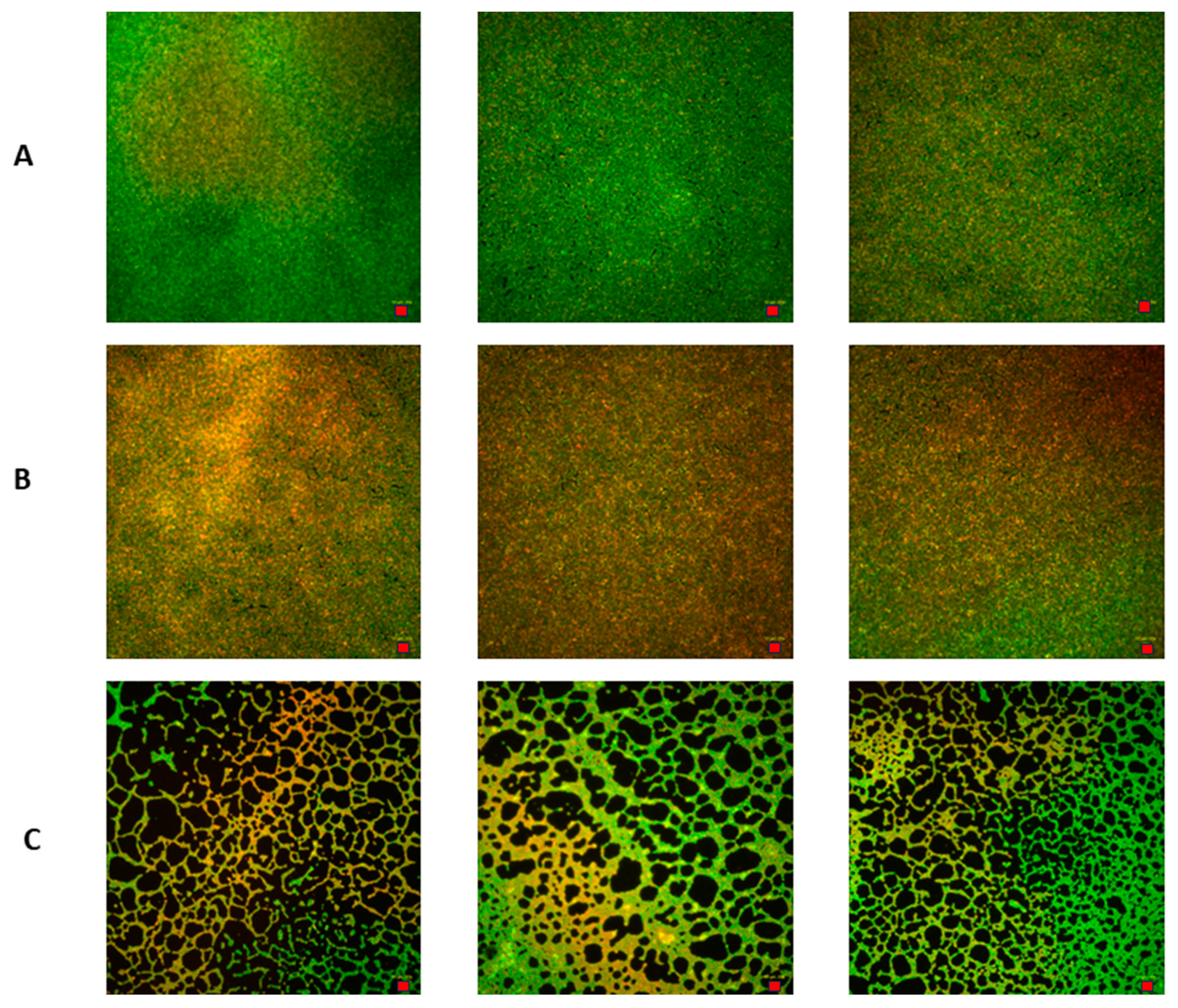 Pharmaceutics 16 00830 g006
