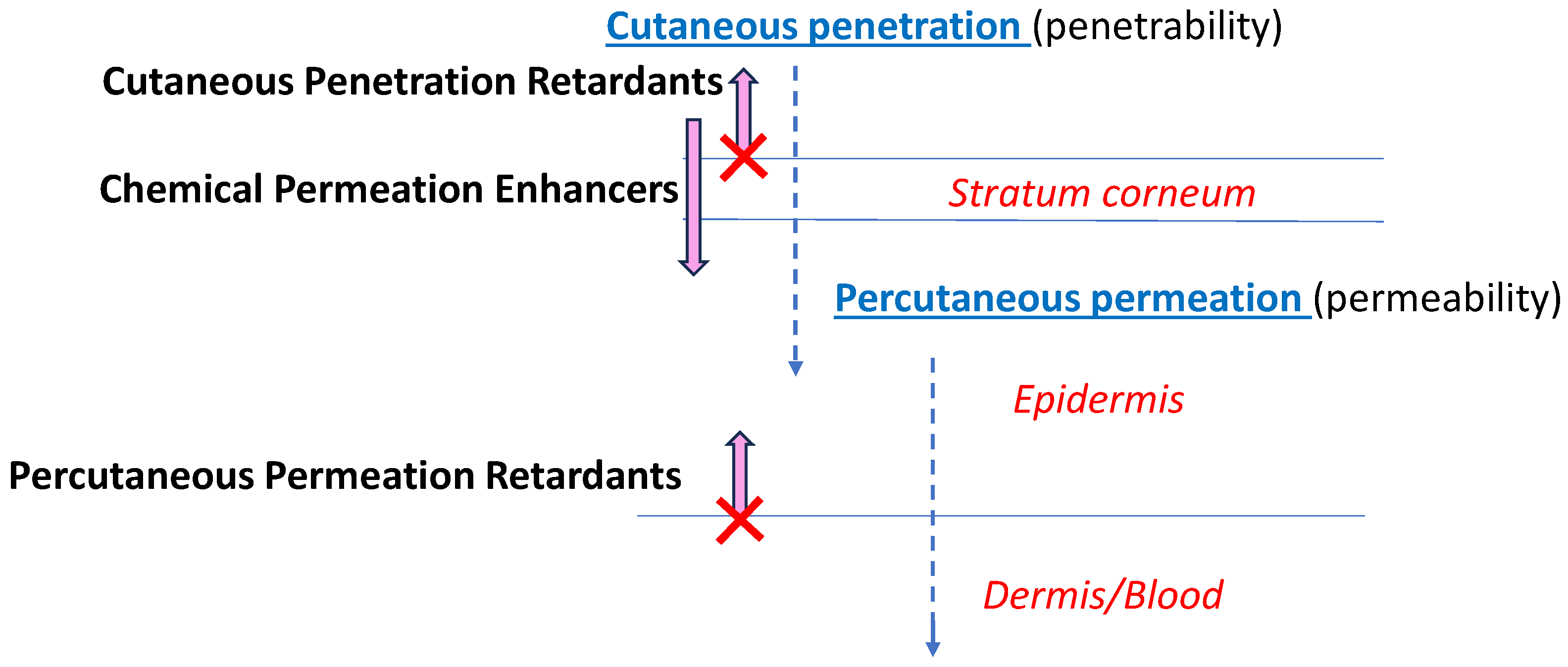 Pharmaceutics 16 00831 g001