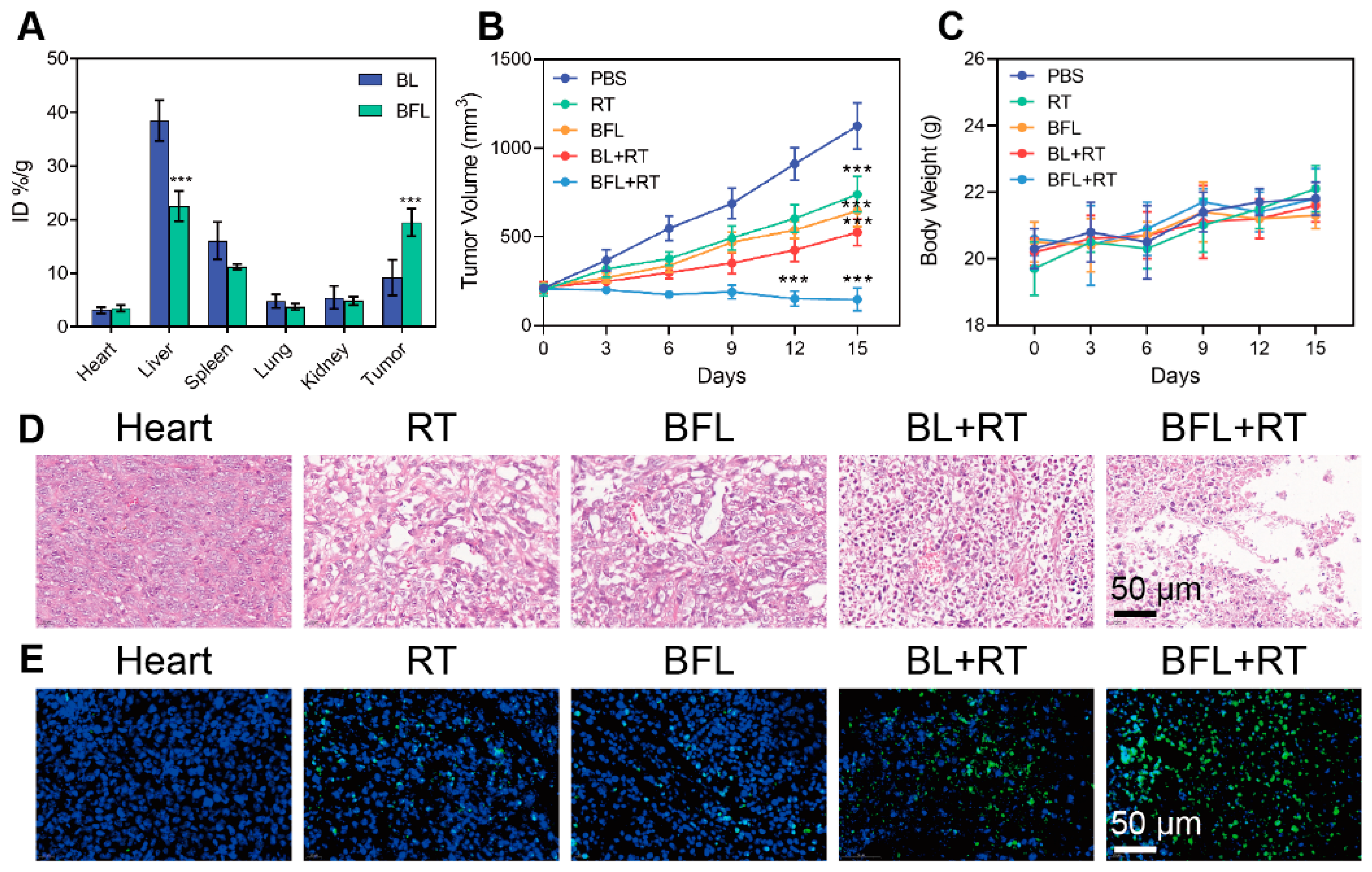Pharmaceutics 16 00833 g004