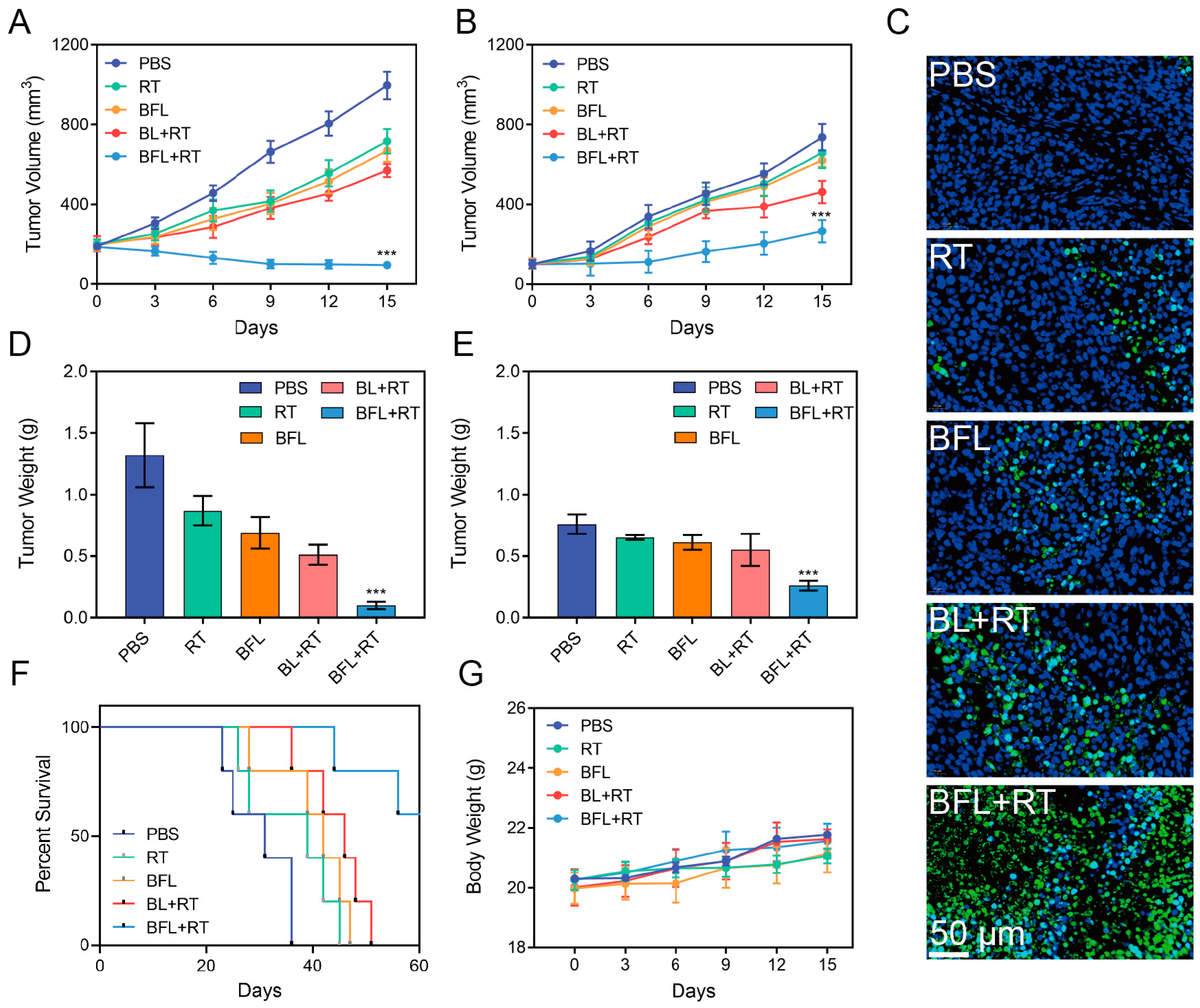 Pharmaceutics 16 00833 g005