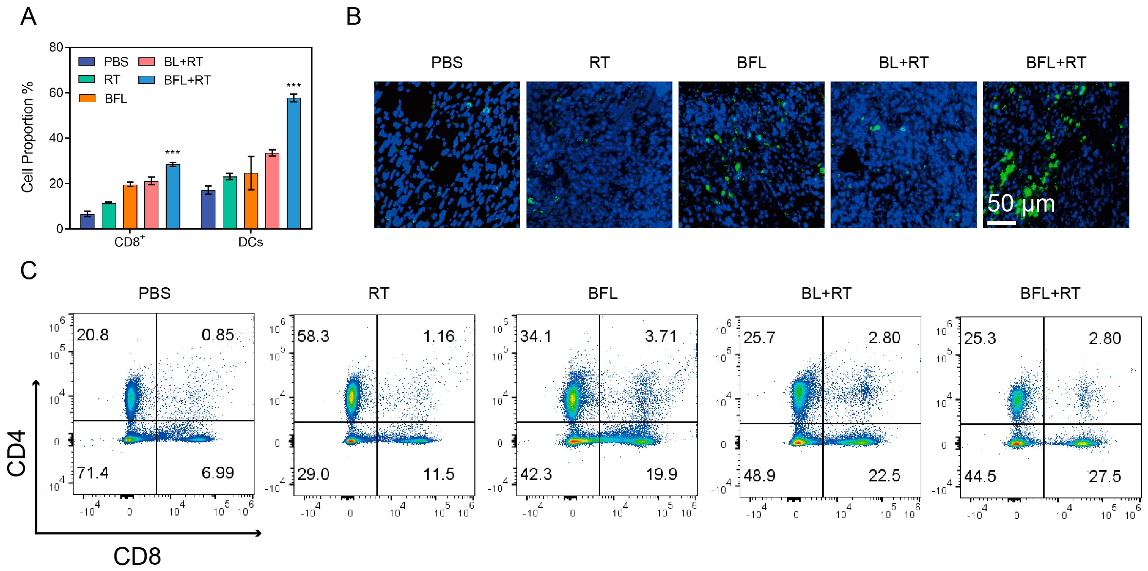 Pharmaceutics 16 00833 g006
