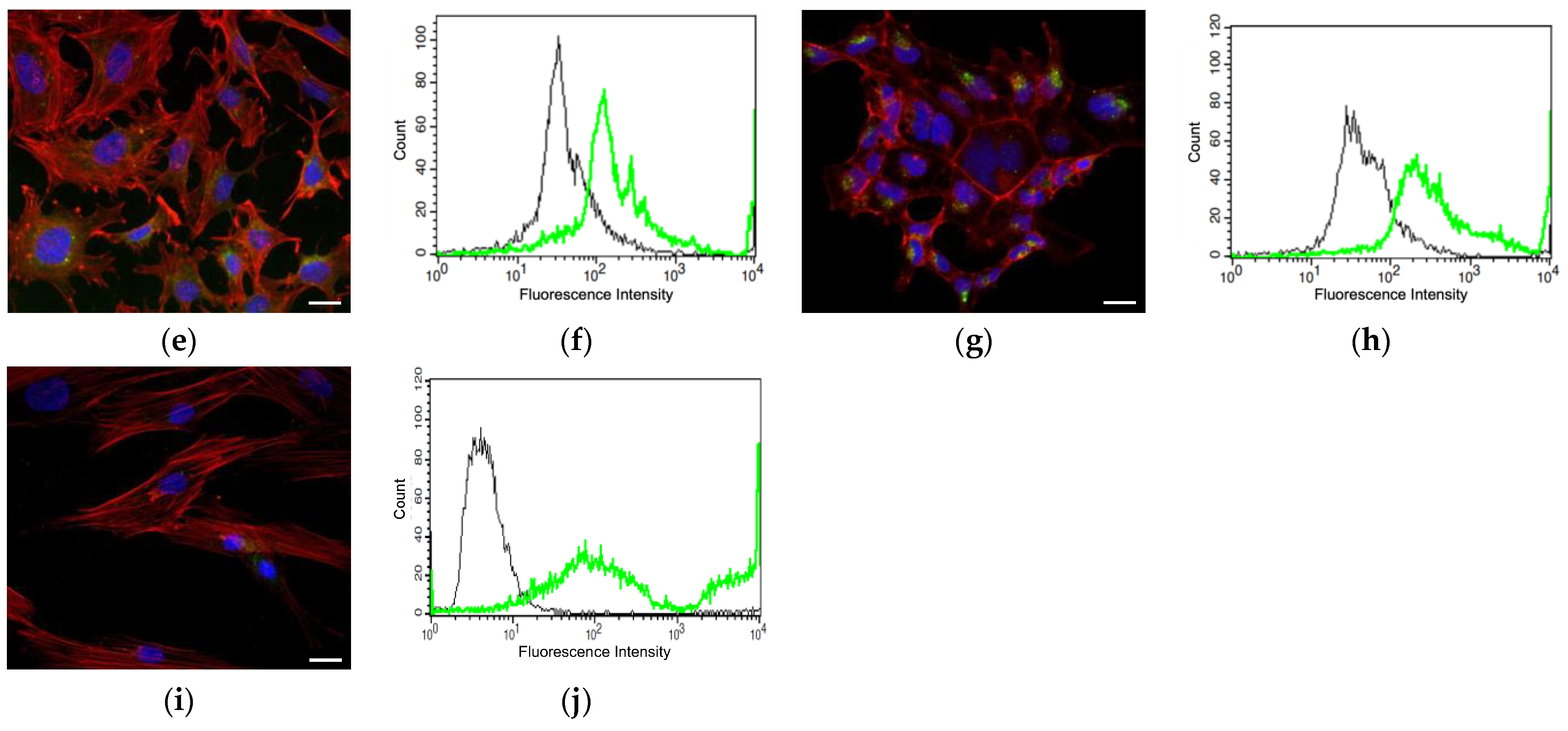 Pharmaceutics 16 00836 g004b