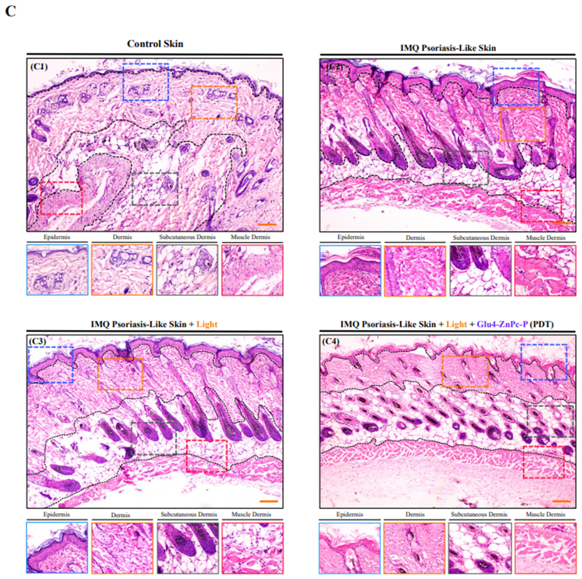 Pharmaceutics 16 00838 g008b