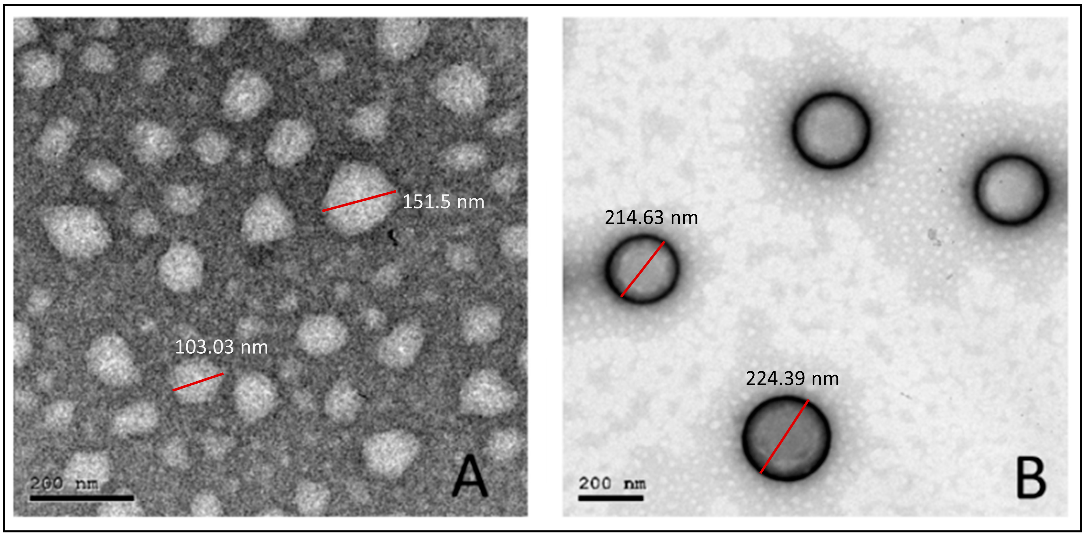Pharmaceutics 16 00844 g003